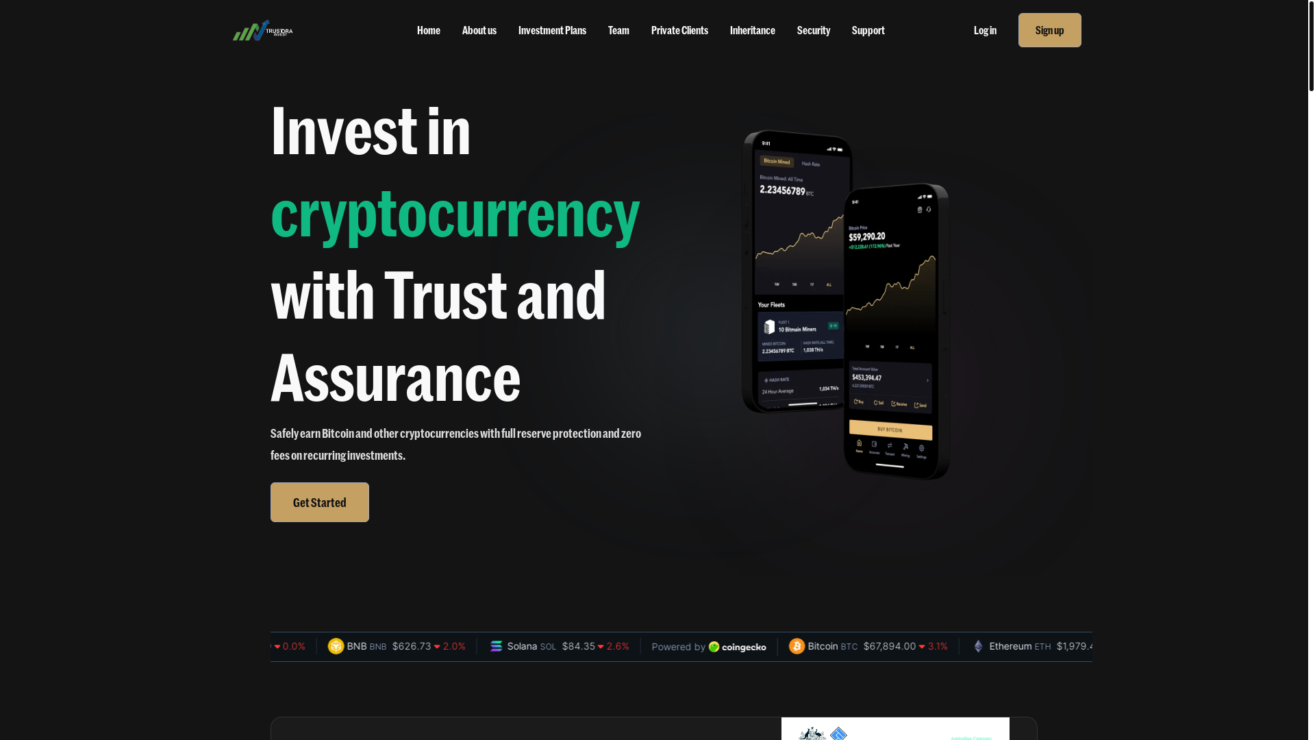 website screenshot of https://app.trustorainvest.com
