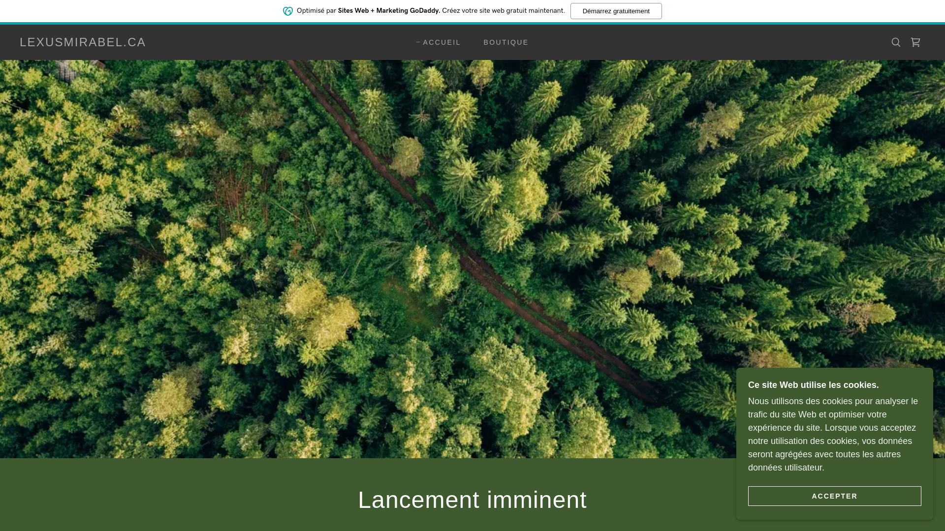 website screenshot of https://lexusmirabel.ca/