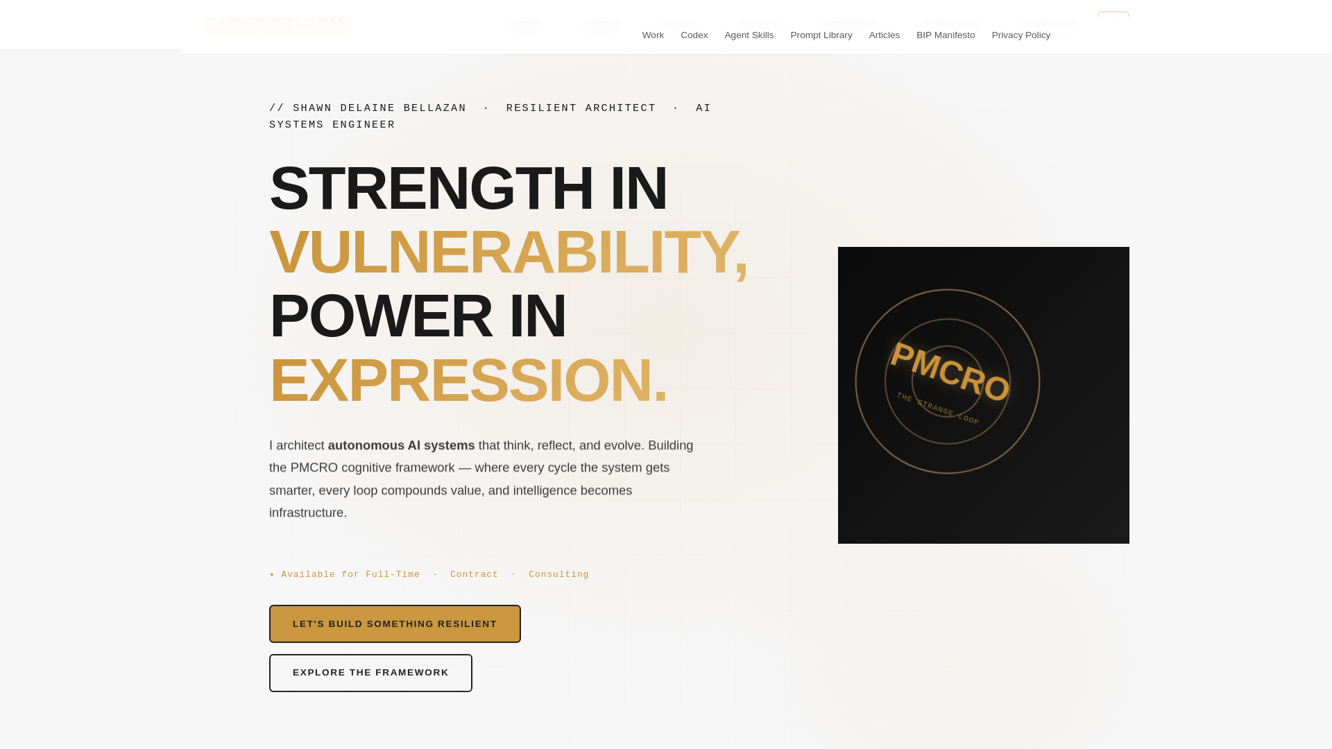 website screenshot of https://shawn-delaine-bellazan-pmcro.pages.dev/