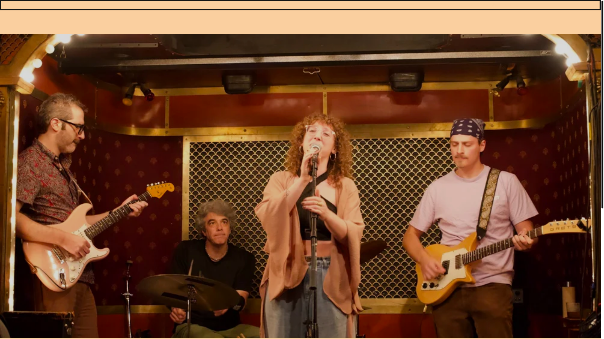 website screenshot of https://thewildthorns.com/