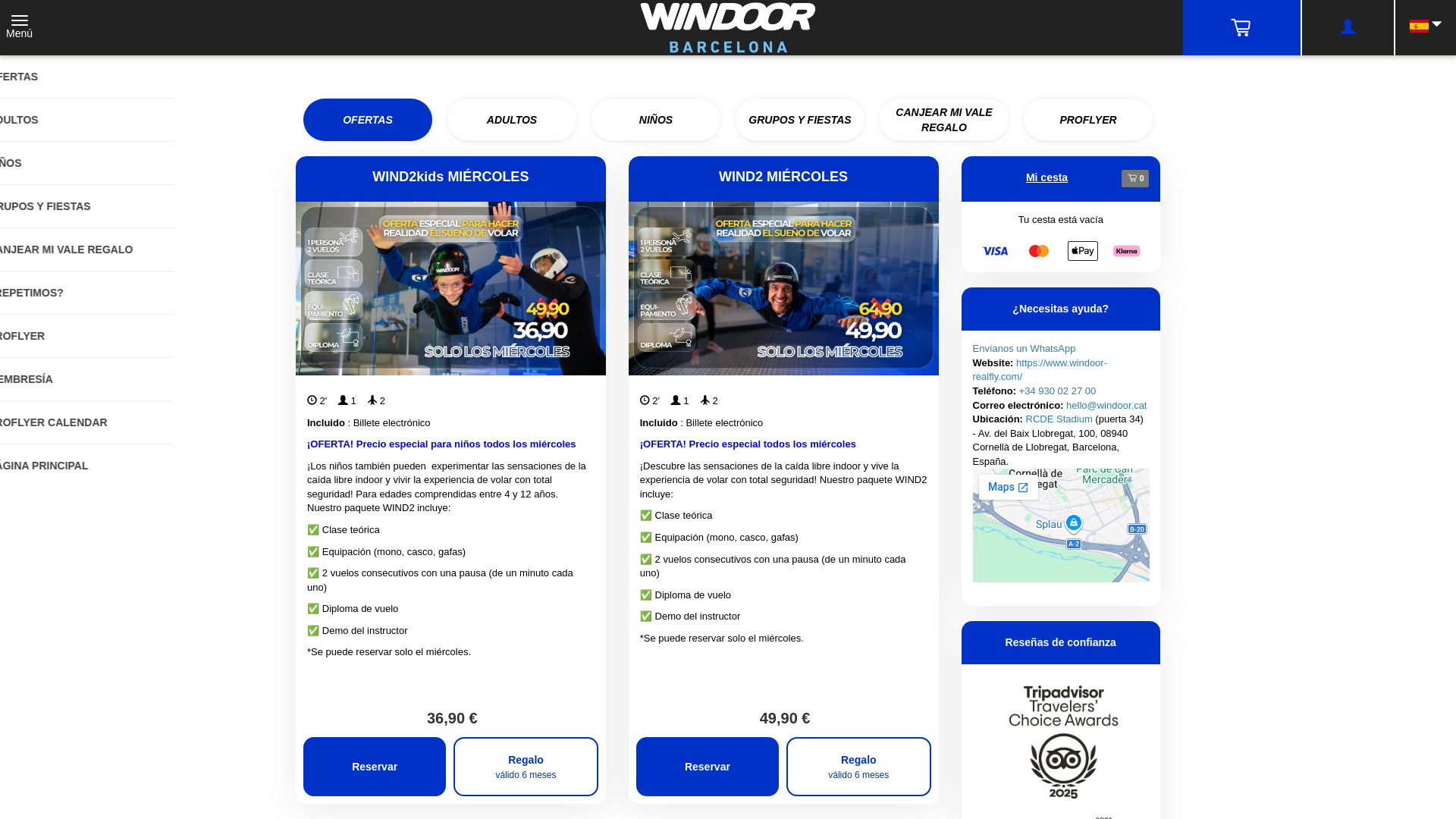 website screenshot of https://thewindoor-realfly.info/