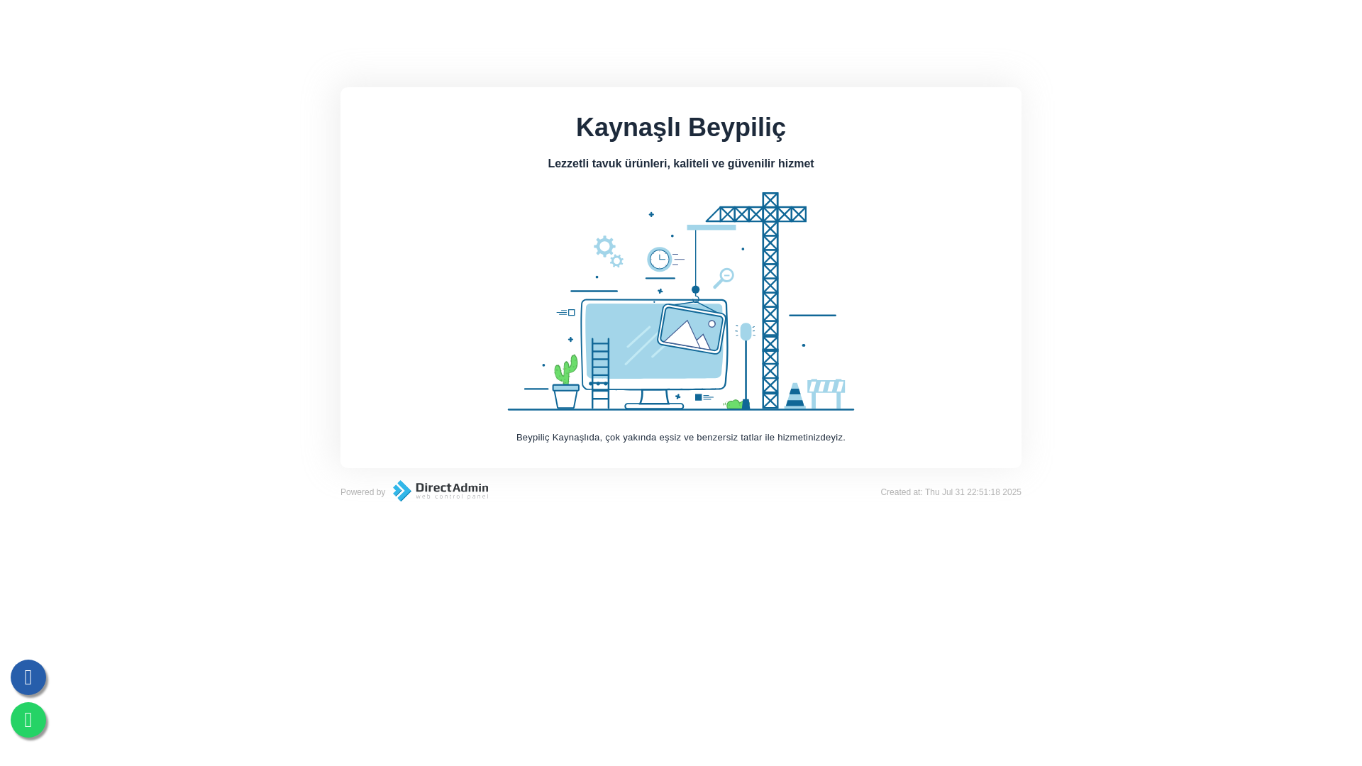 website screenshot of https://kaynaslibeypilic.com/