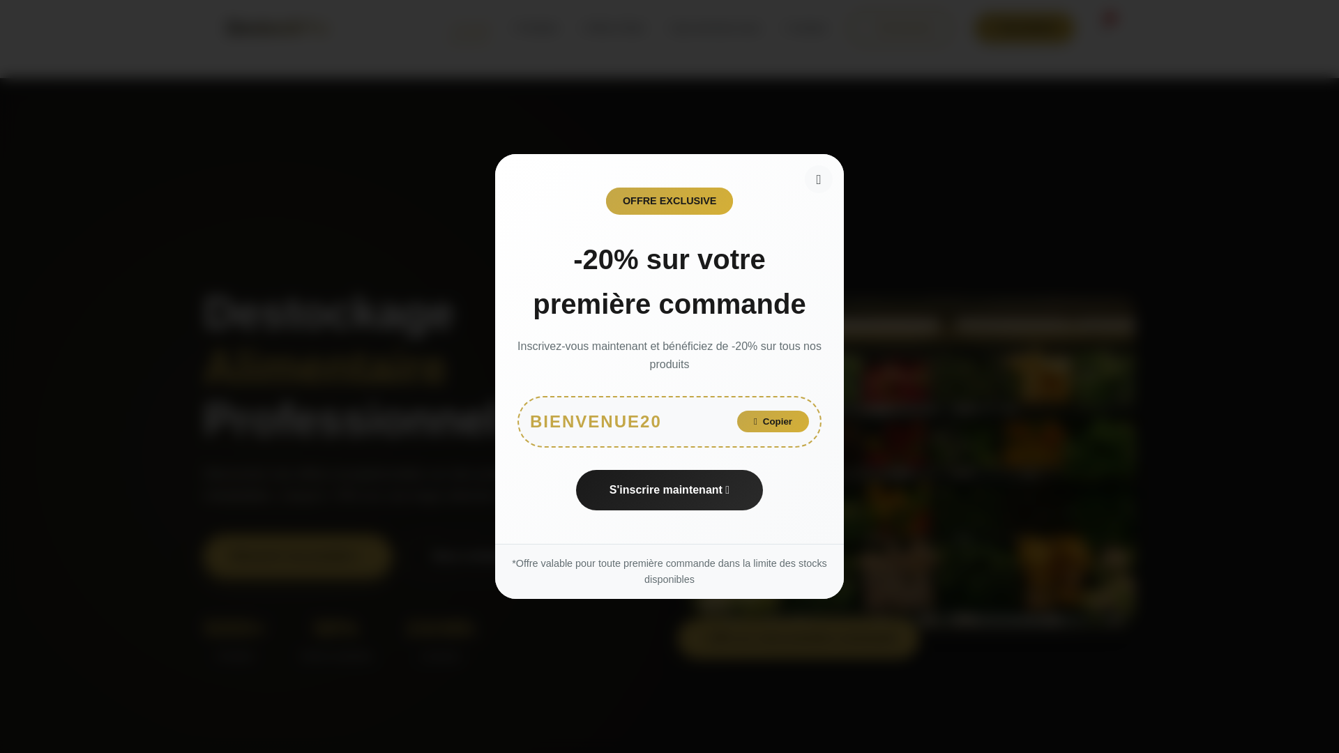 website screenshot of https://destockalimentaire.com