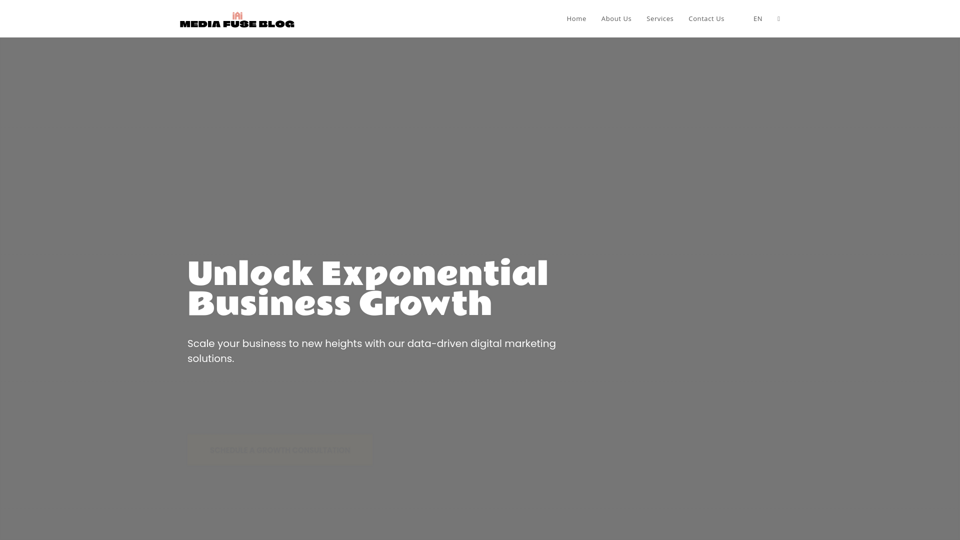 website screenshot of https://mediafueblog.com/