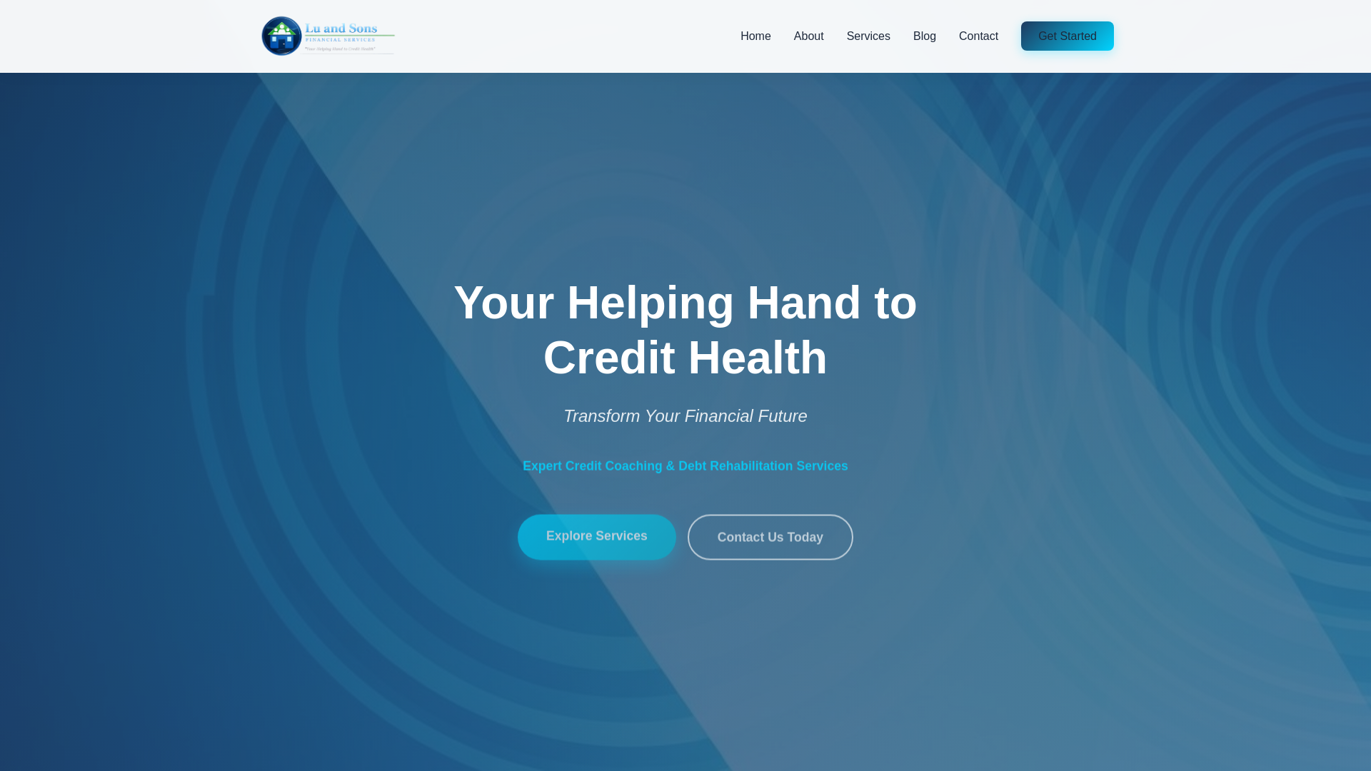 website screenshot of https://luandsons.co.za/