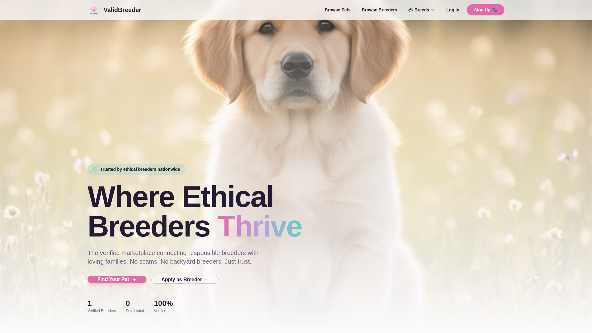 website screenshot of https://validbreeder.com/