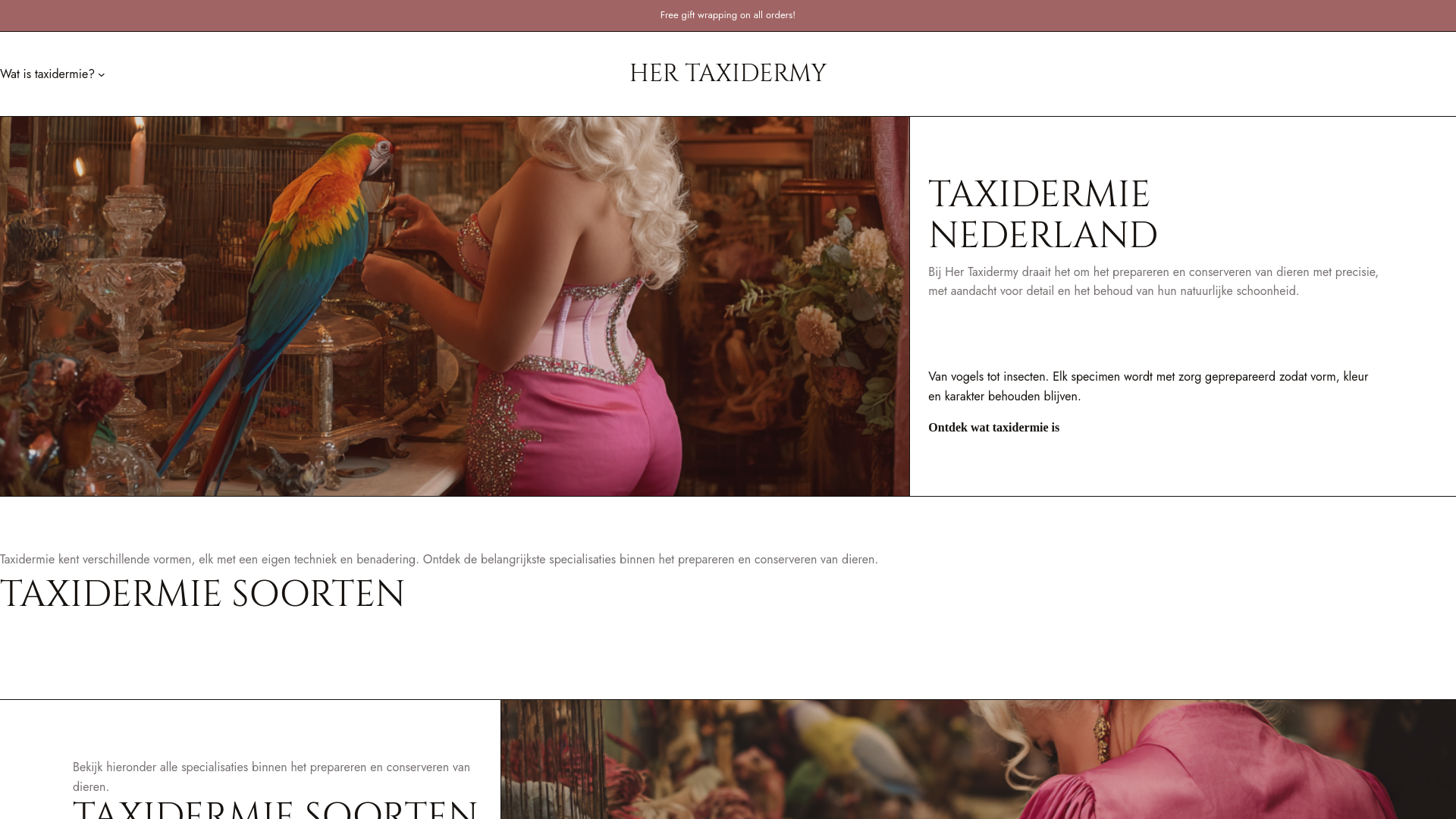 website screenshot of https://hertaxidermy.nl