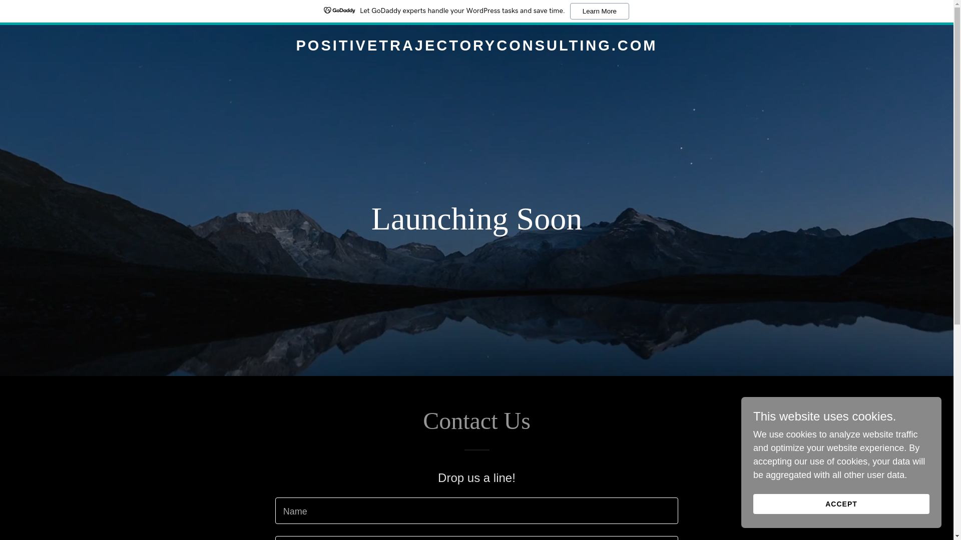 website screenshot of https://positivetrajectoryconsulting.com/