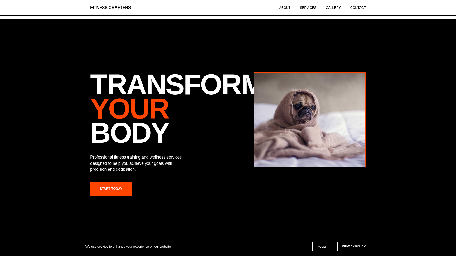 website screenshot of https://fitnesscrafters.cyou/