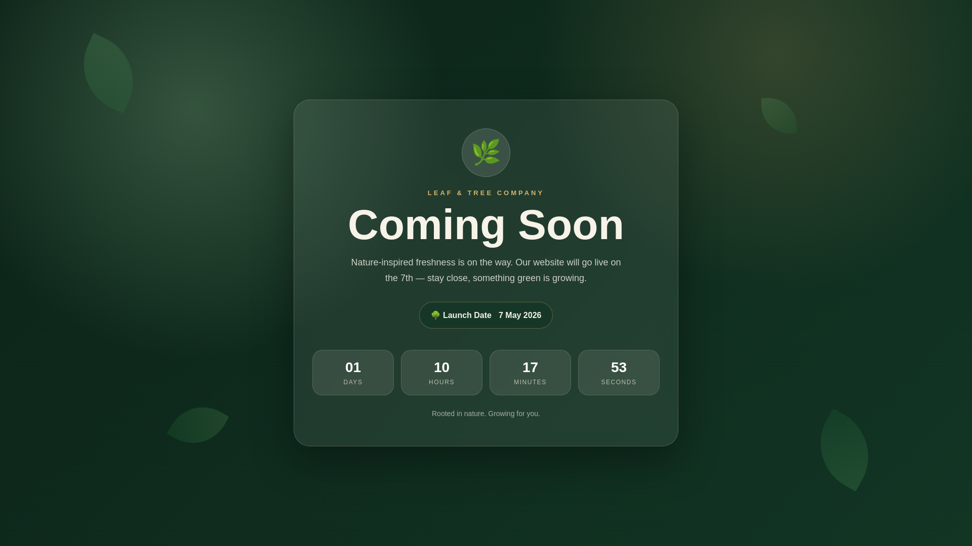 website screenshot of https://leaffinbd.com/