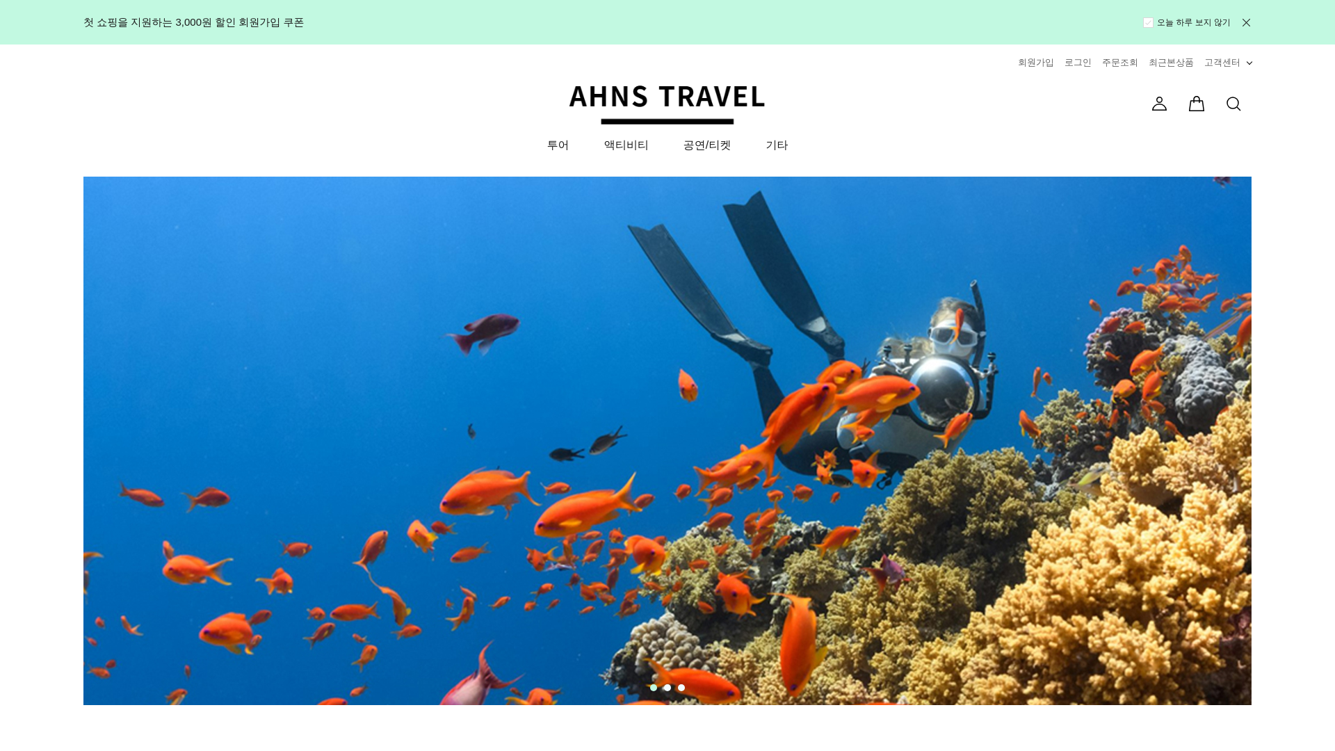 website screenshot of https://ahnstravel.com/