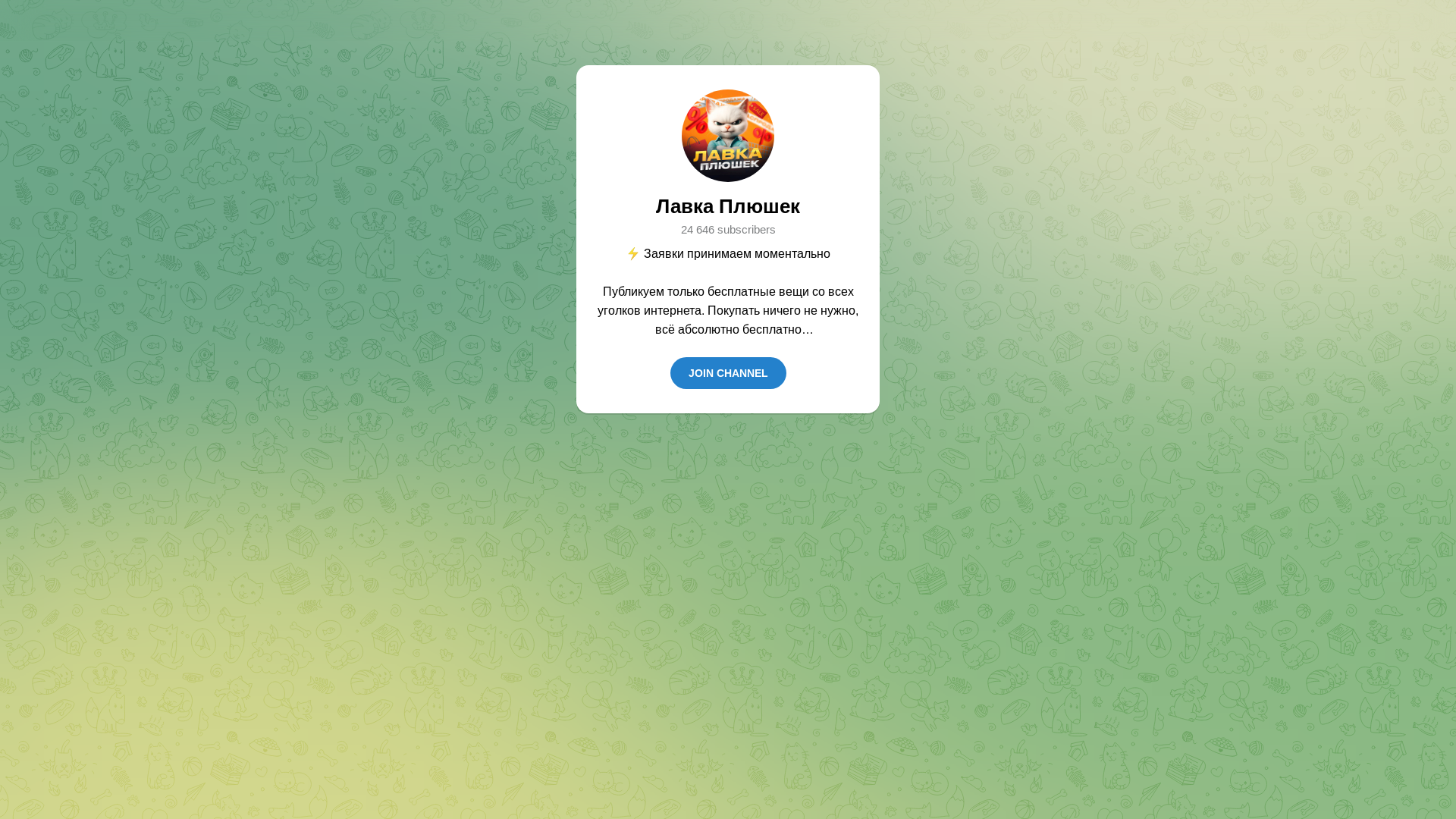 website screenshot of https://codenetic.xyz/