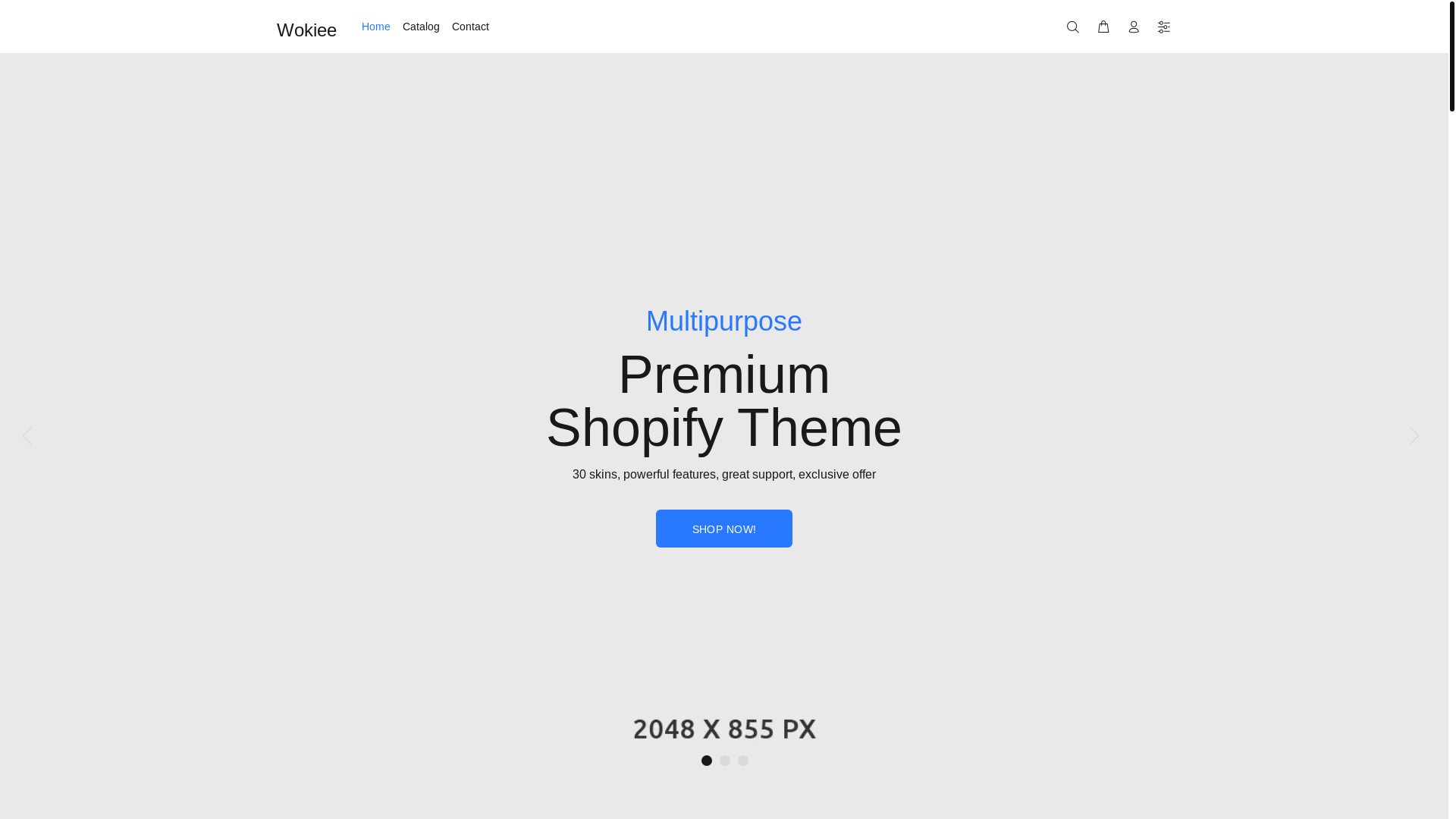 website screenshot of https://healthcareindia.store