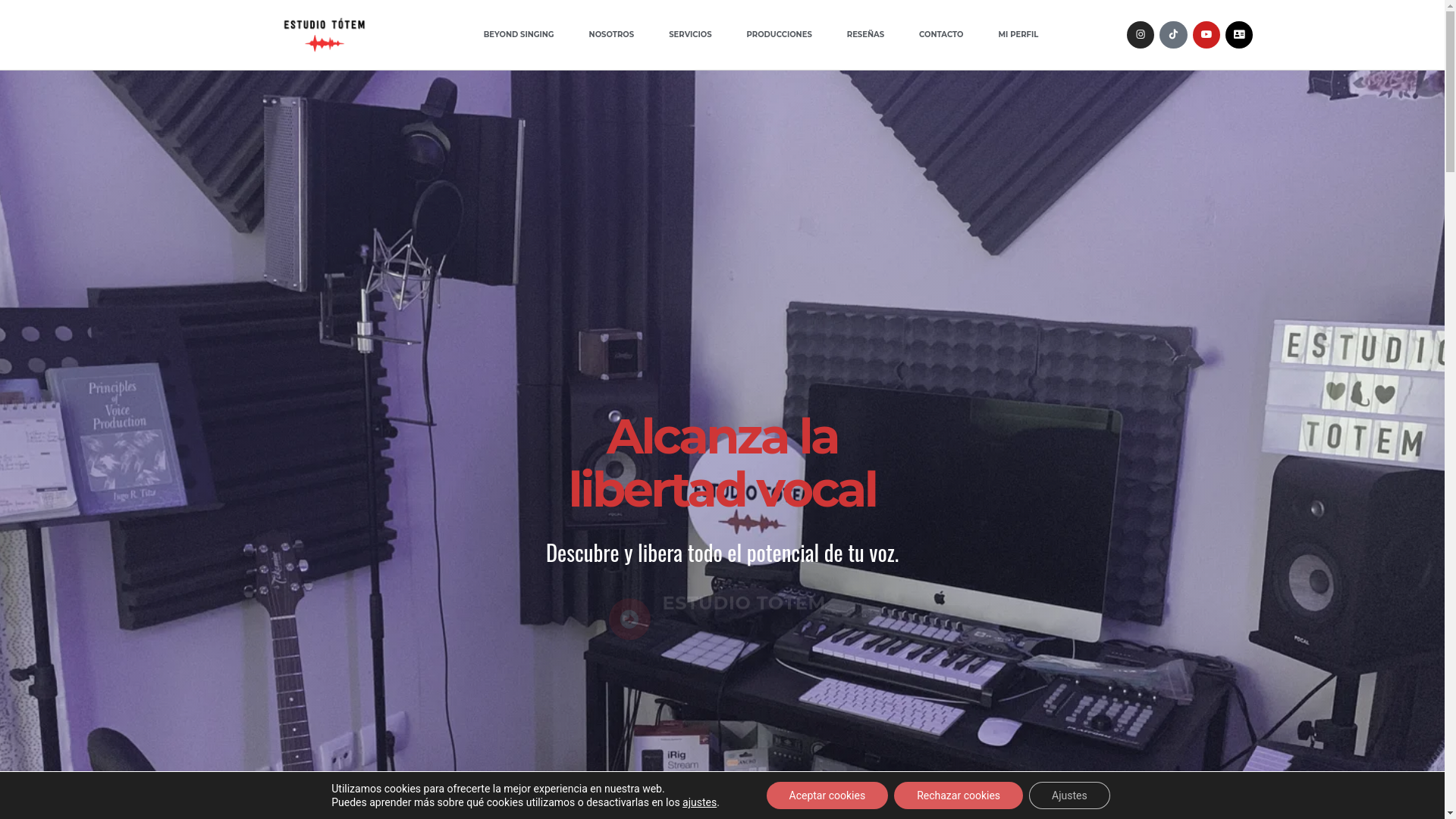 website screenshot of https://estudiototem.es/