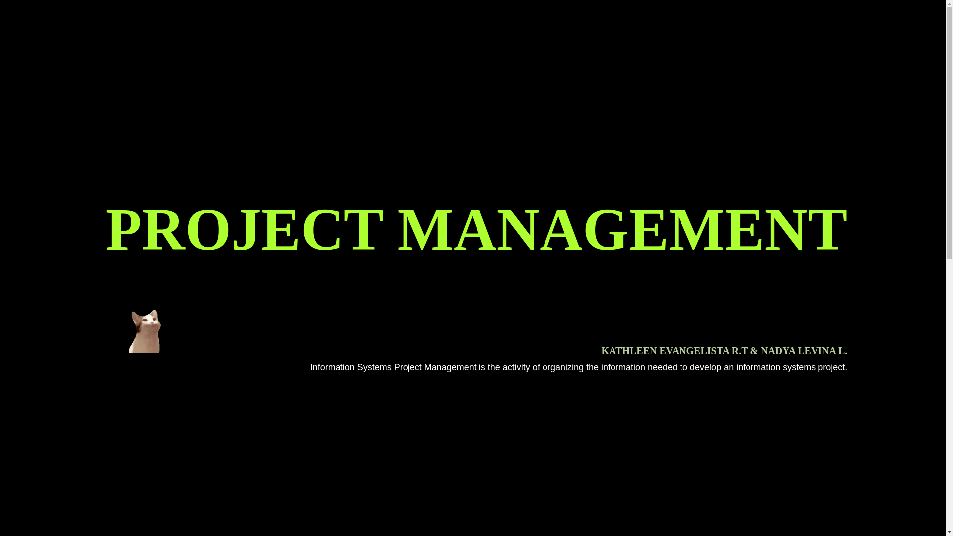 website screenshot of https://it-projectmanagement-yipee.pages.dev/