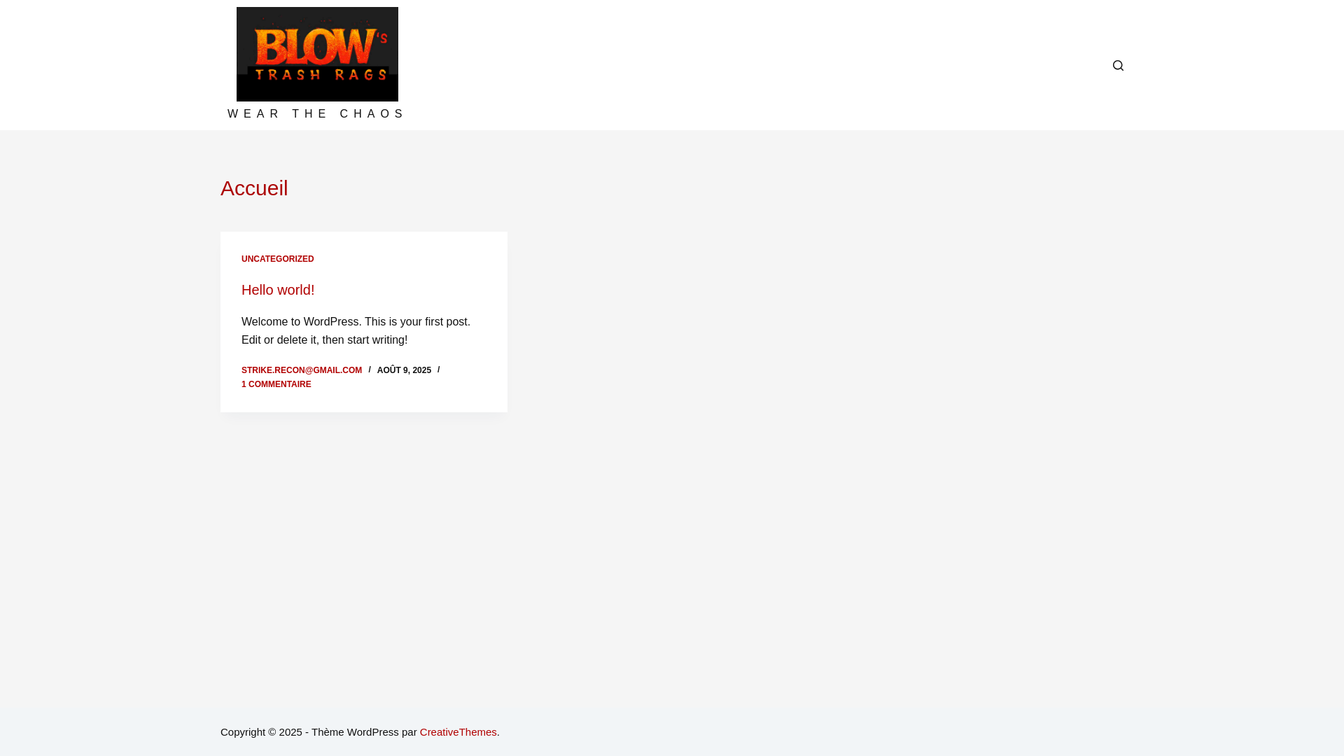 website screenshot of https://trashrags.shop/