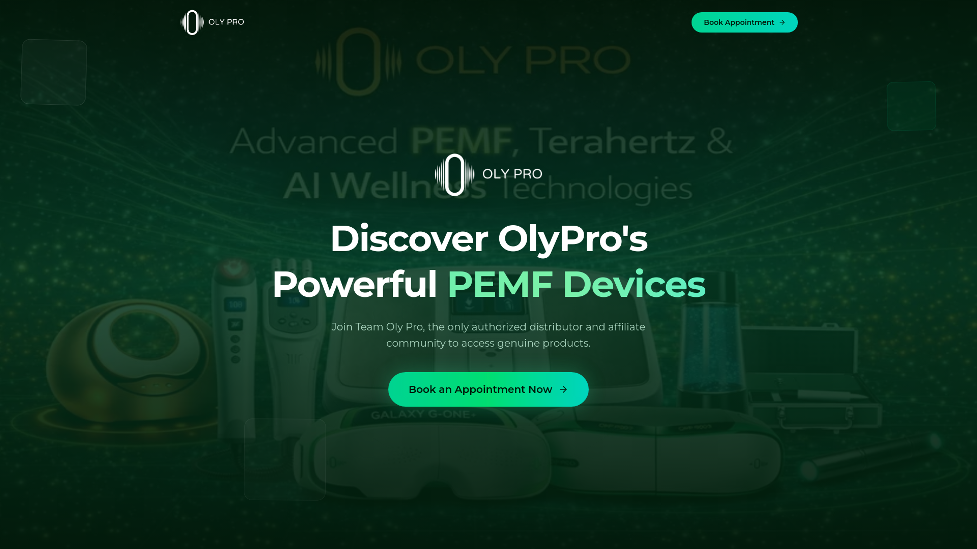 website screenshot of https://wsolypro.life/