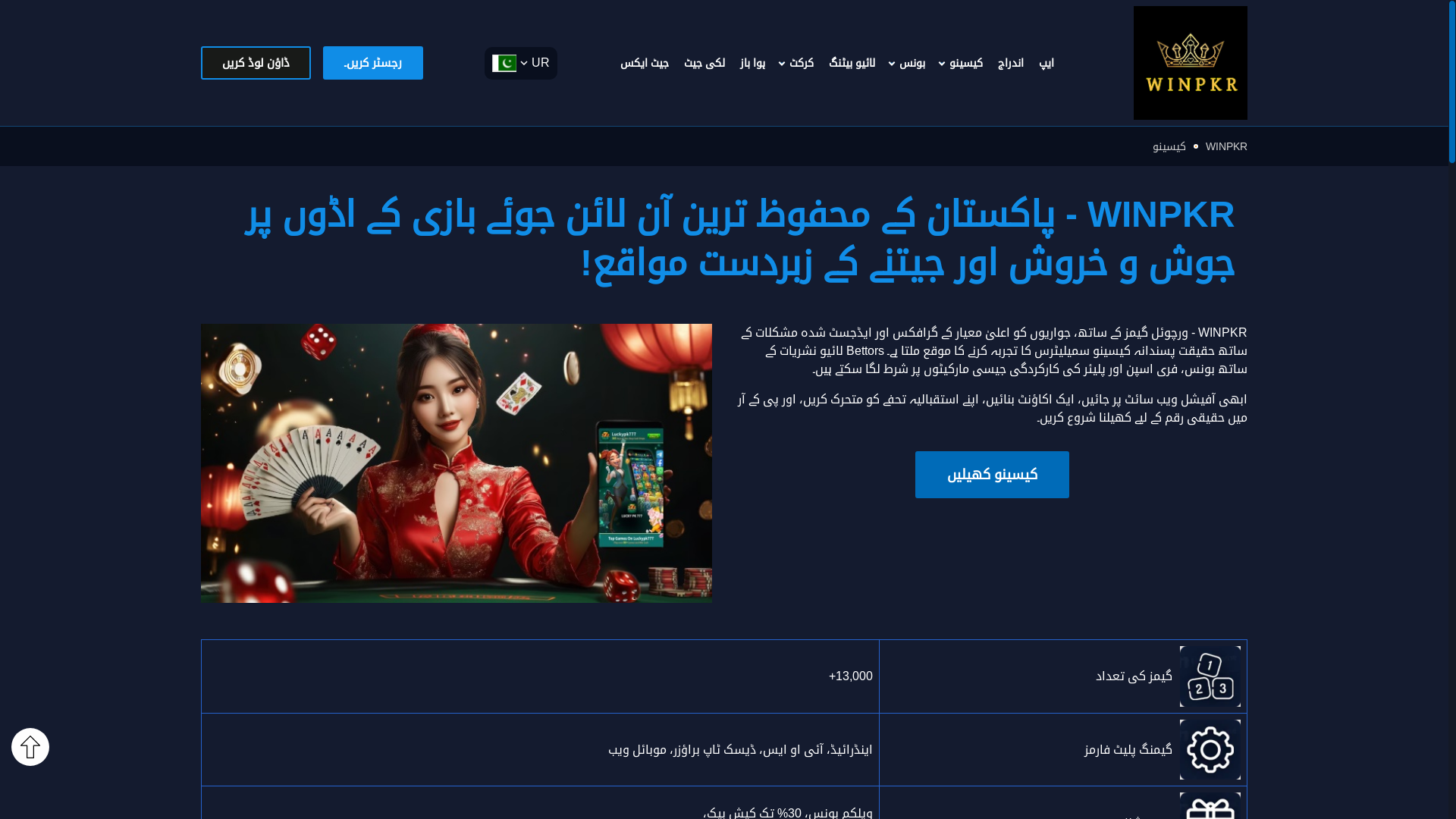 website screenshot of https://awinpkrpk.com/