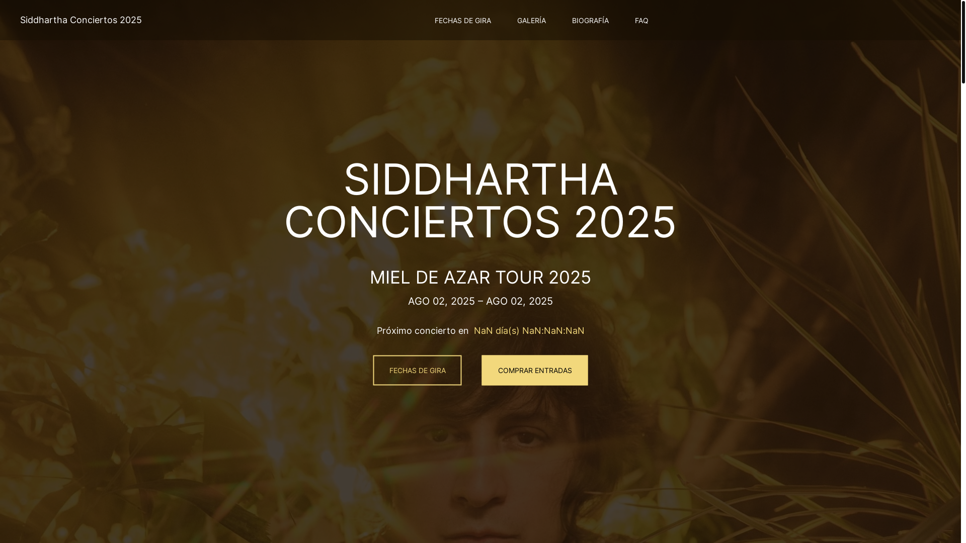 website screenshot of https://siddharthaconciertos2024-com-github-io.pages.dev/