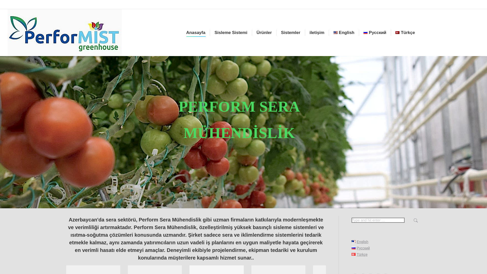 website screenshot of https://trueharbor.cfd/
