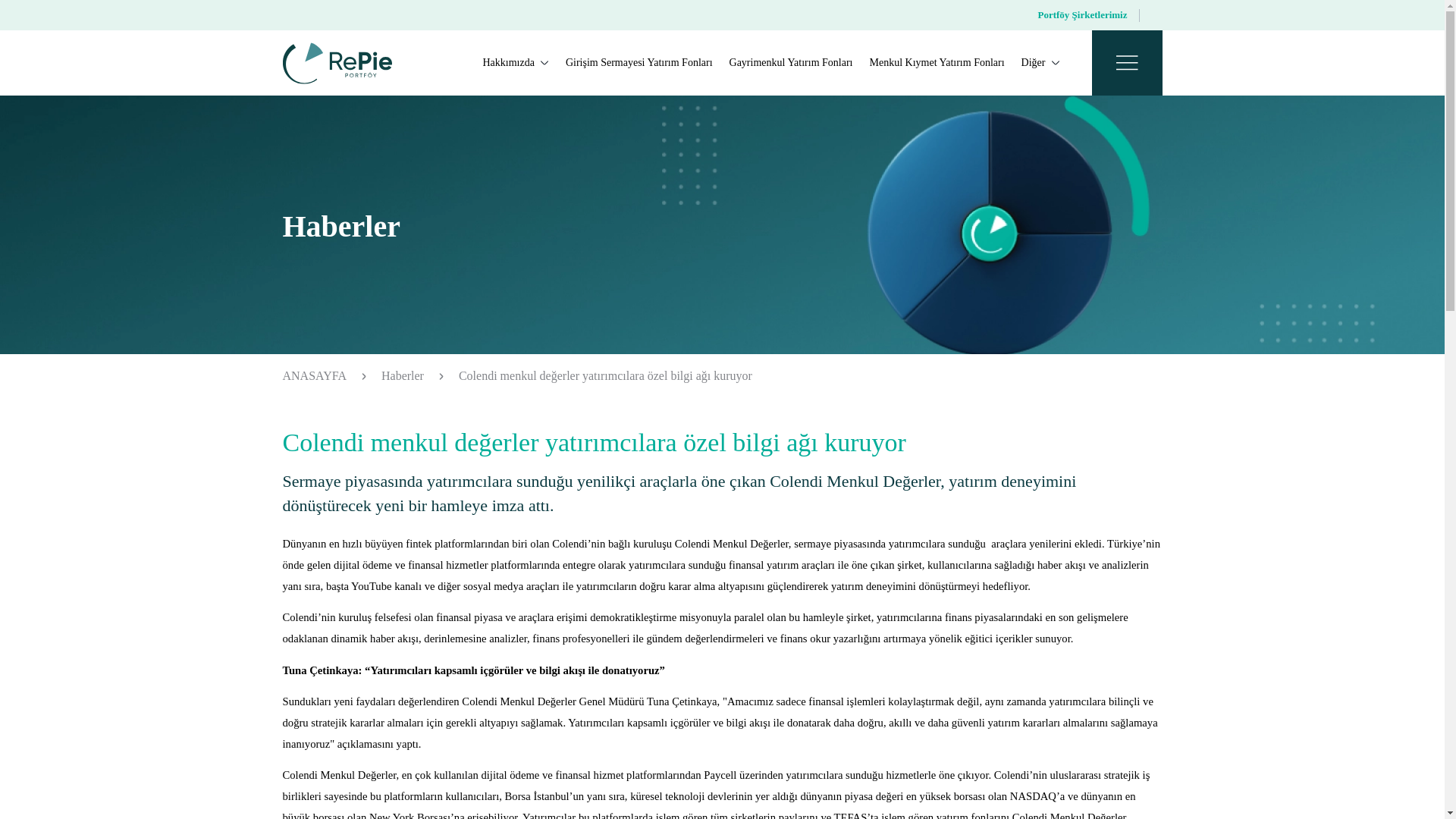 website screenshot of https://deltamenkuldegerler.com/