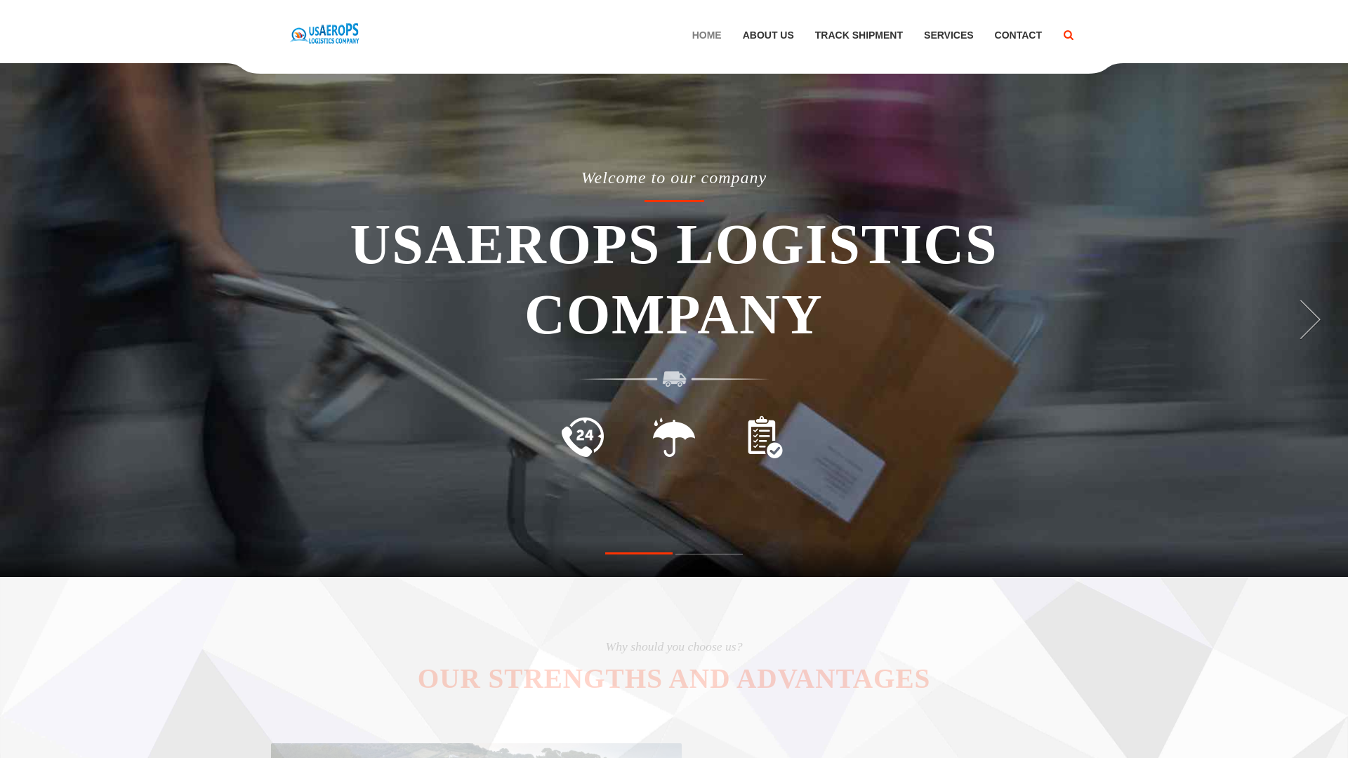 website screenshot of https://usaeropslogscompany.com/