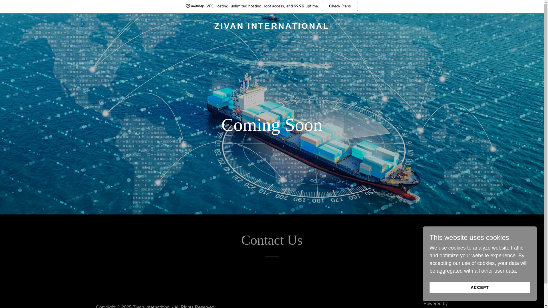 website screenshot of https://zivaninternational.com/