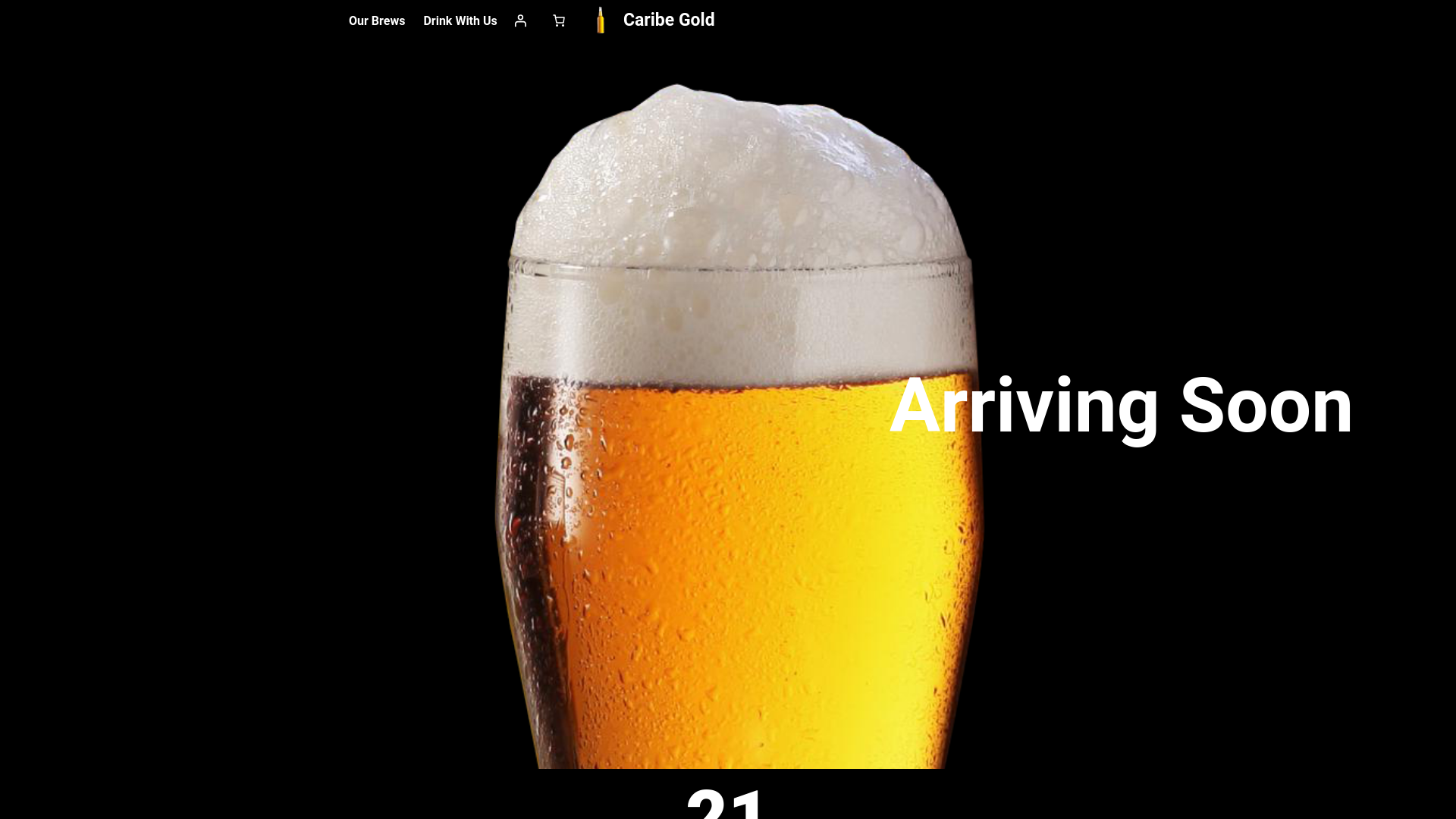 website screenshot of https://astrick.shop/