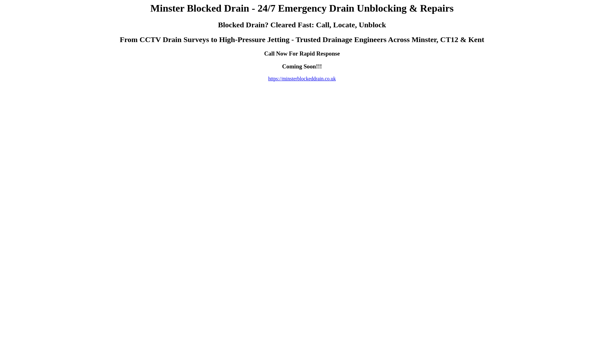 website screenshot of https://minsterblockeddrain.co.uk