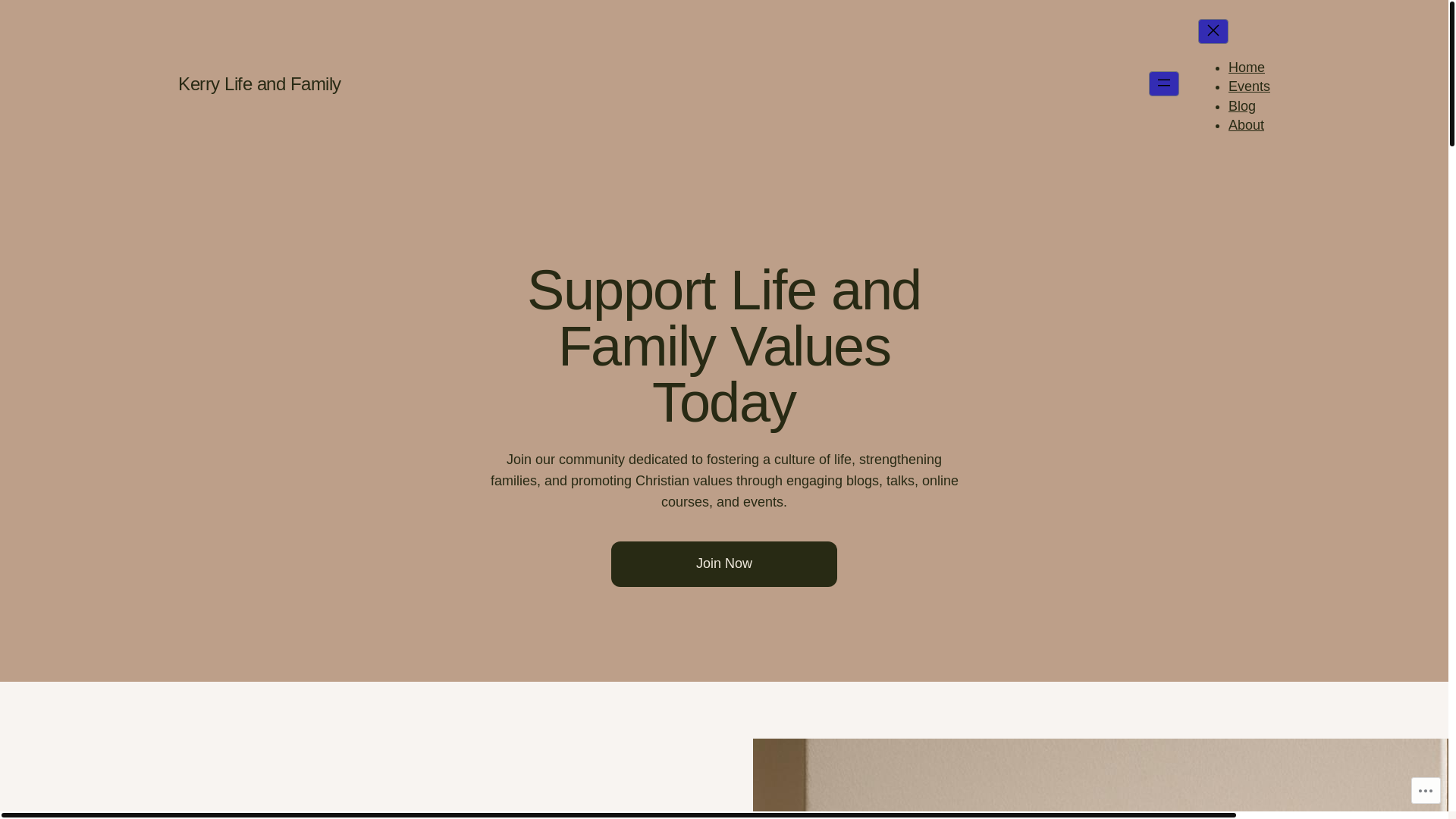 website screenshot of https://kerrylifeandfamily.com/