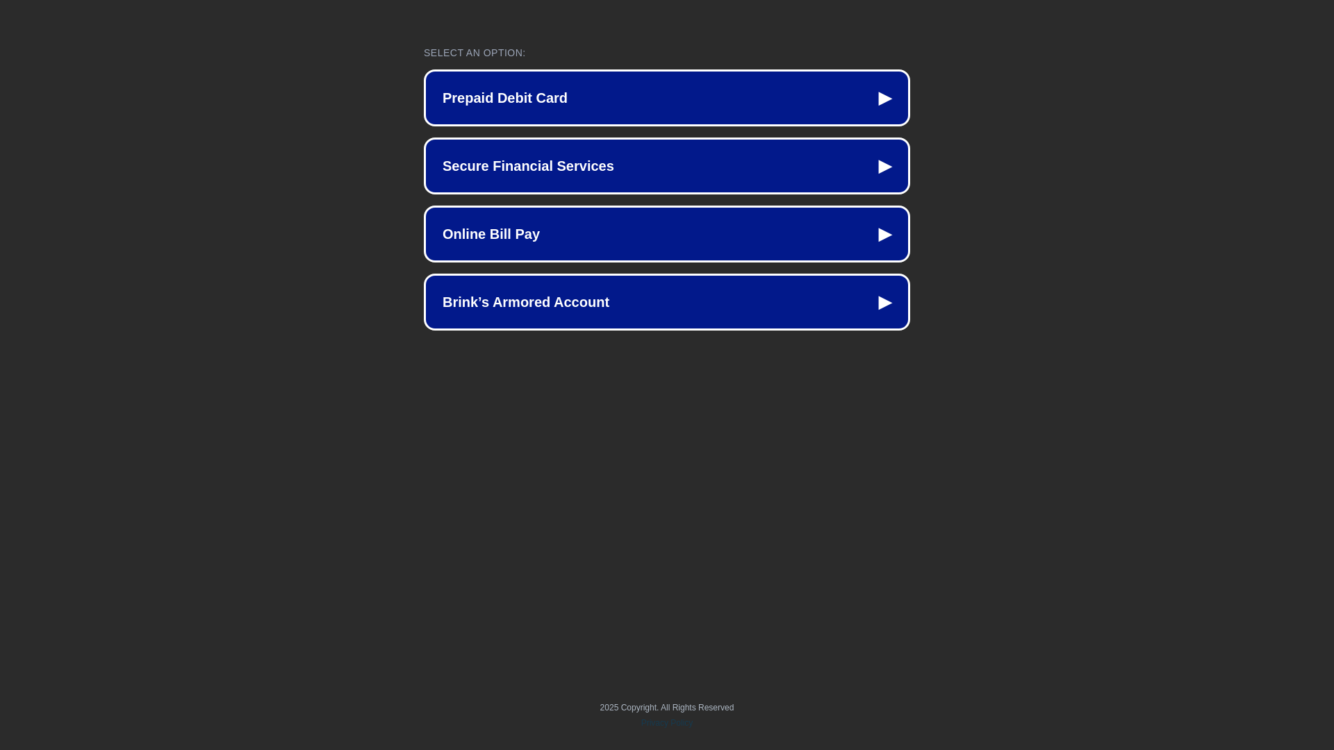 website screenshot of https://brinkssarmored.com
