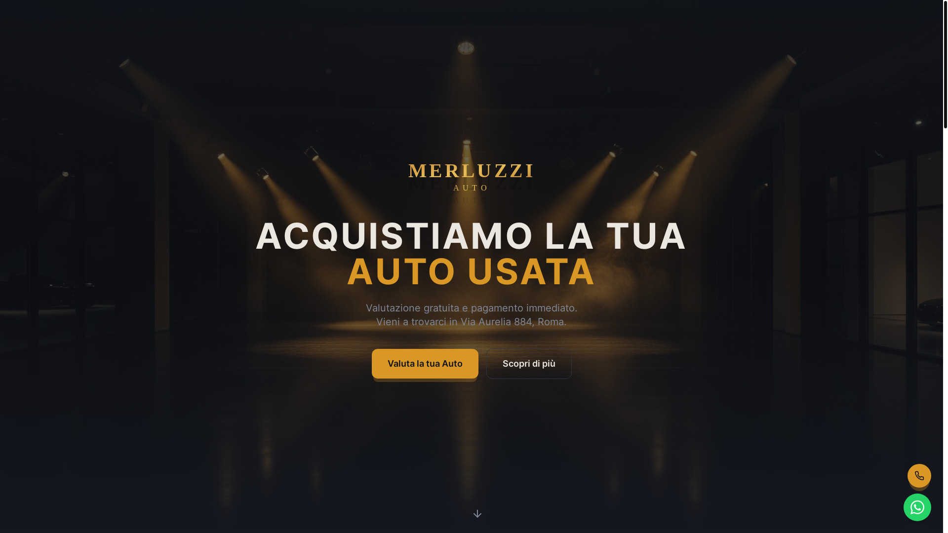 website screenshot of https://merluzziauto.it/