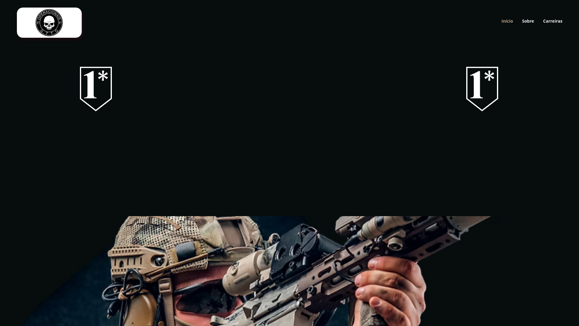 website screenshot of https://agfluia.com/