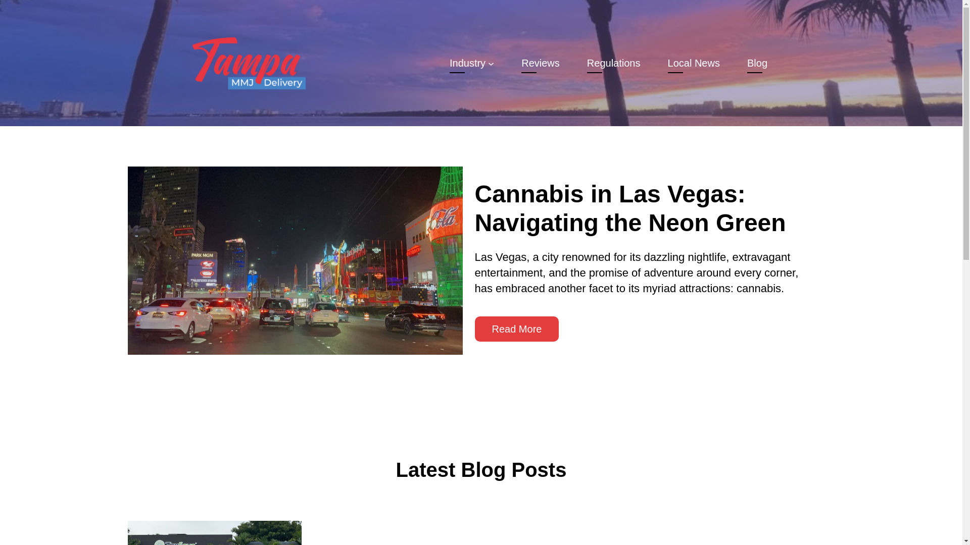 website screenshot of https://tampammjdelivery-com.pages.dev/