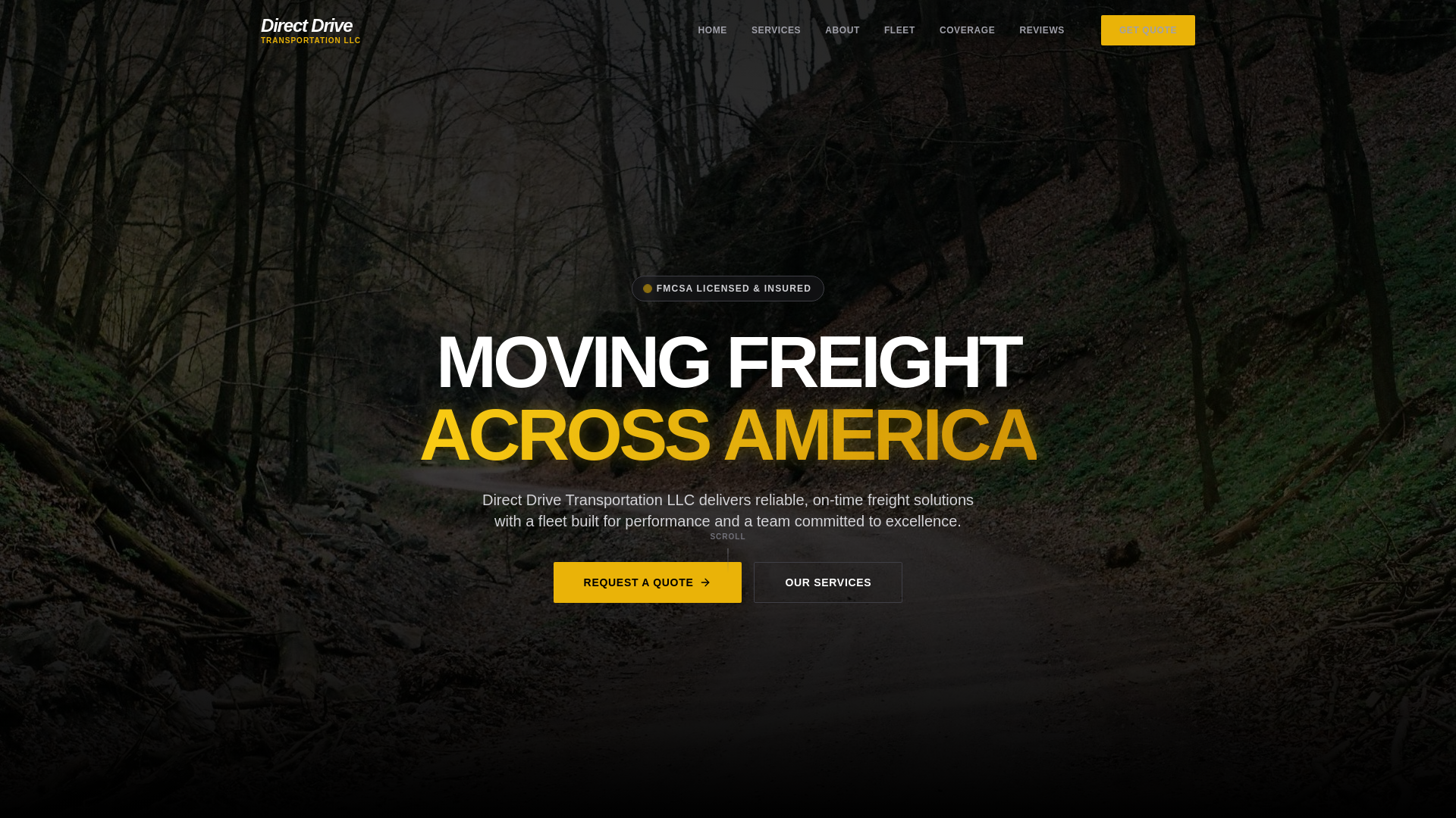 website screenshot of https://directdrivetransportatiponllc.com