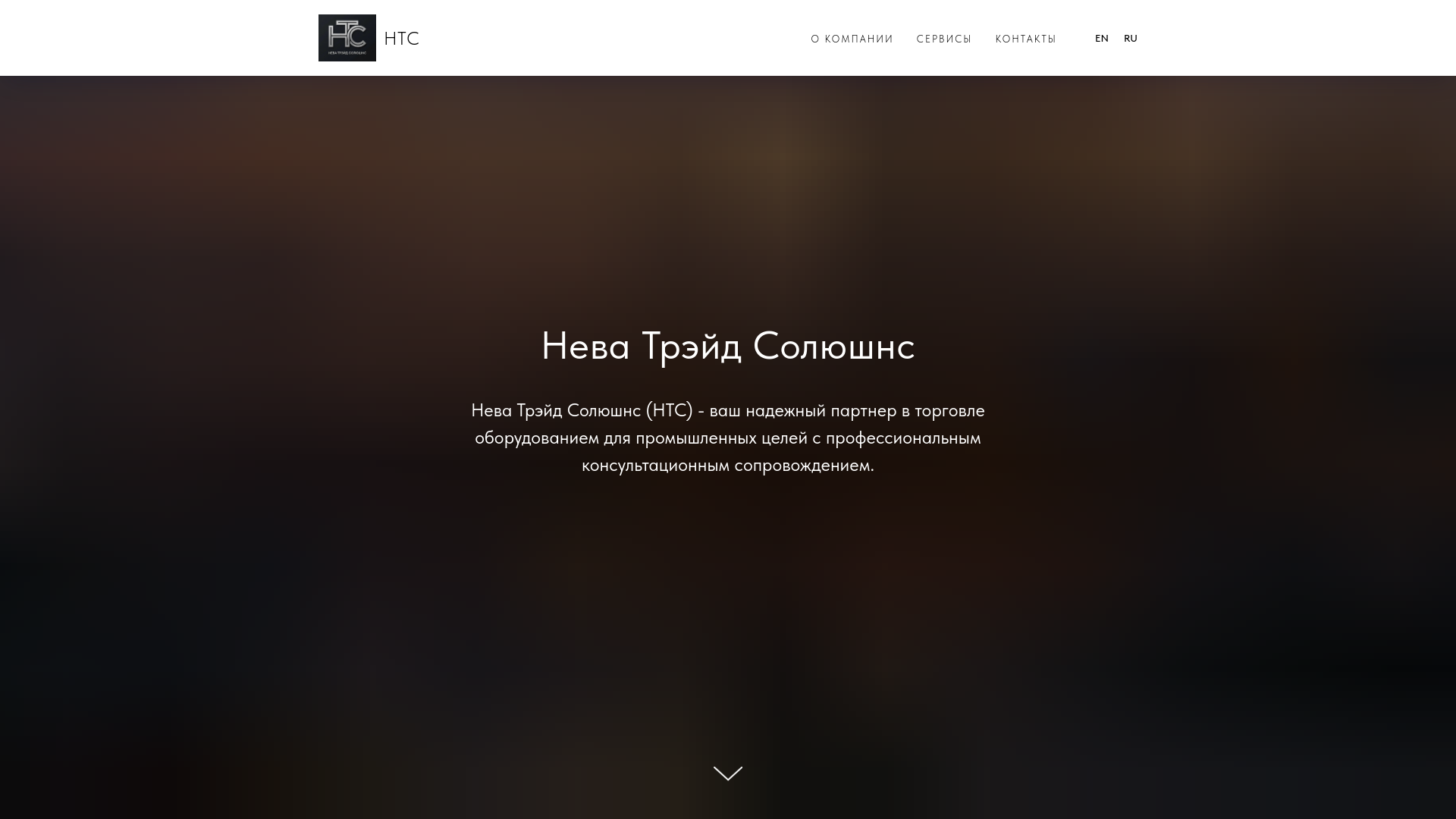 website screenshot of https://nevatradesltns.ru/