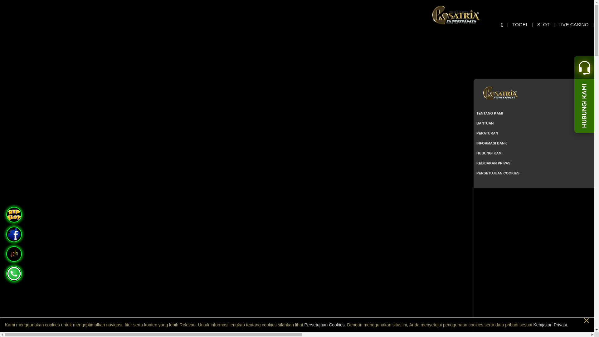 website screenshot of https://duniaperang.site/