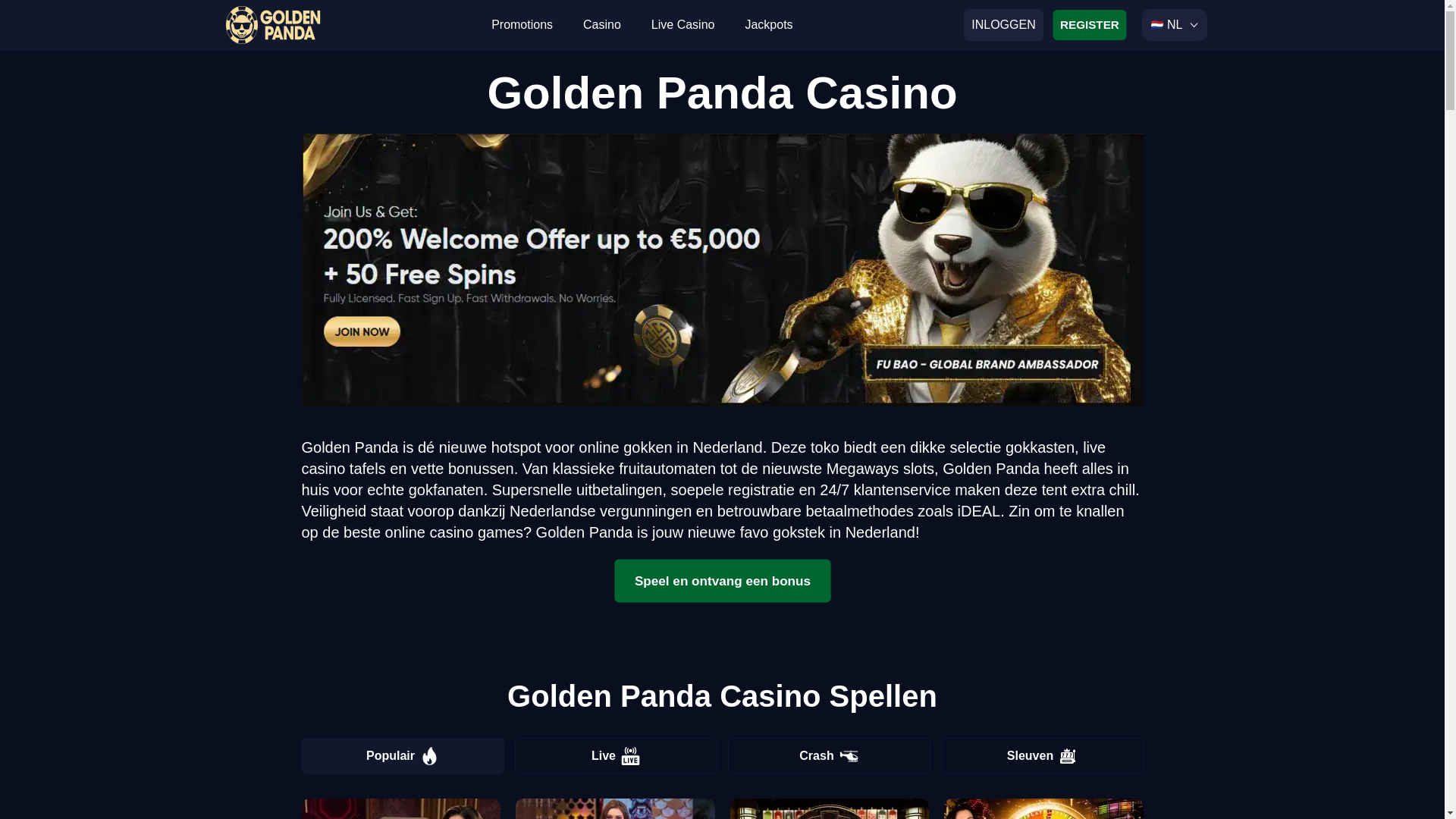 website screenshot of https://golden-panda-casino-nl-4098.pages.dev/