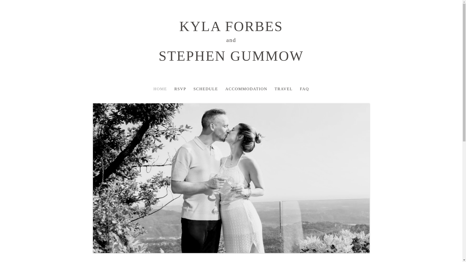 website screenshot of https://stephenandkyla.com/