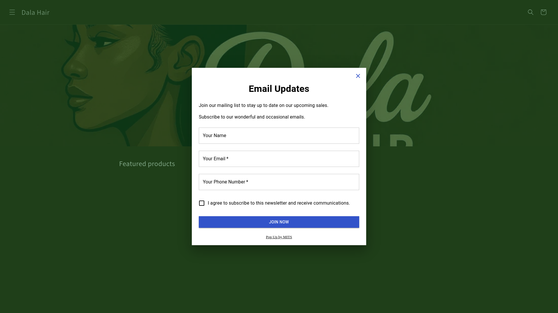 website screenshot of https://dalahair.store/