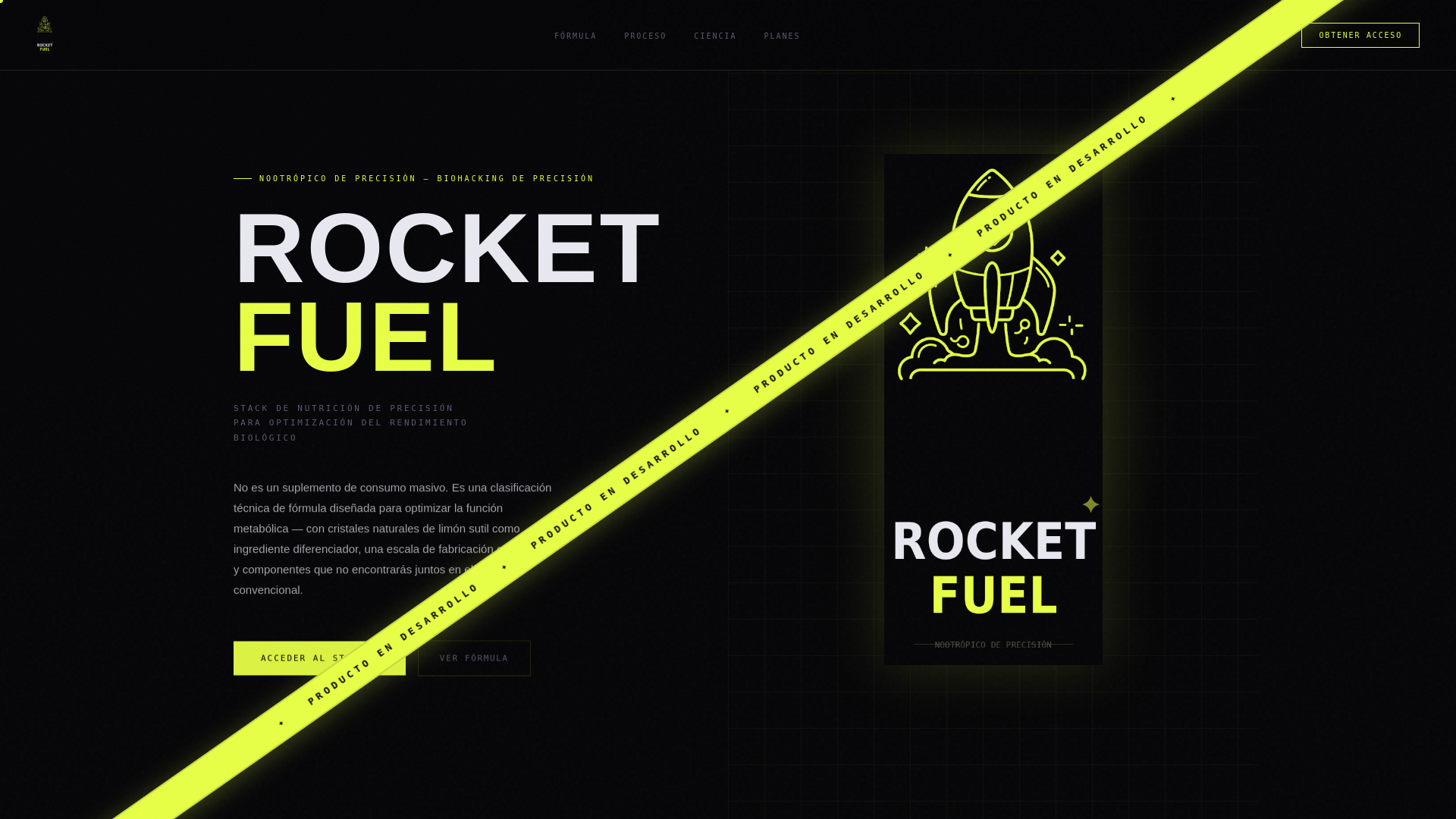 website screenshot of https://rocket-fuel-chile.com