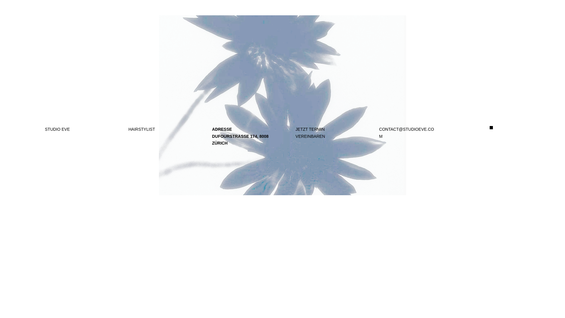 website screenshot of https://studio-eve.ch/