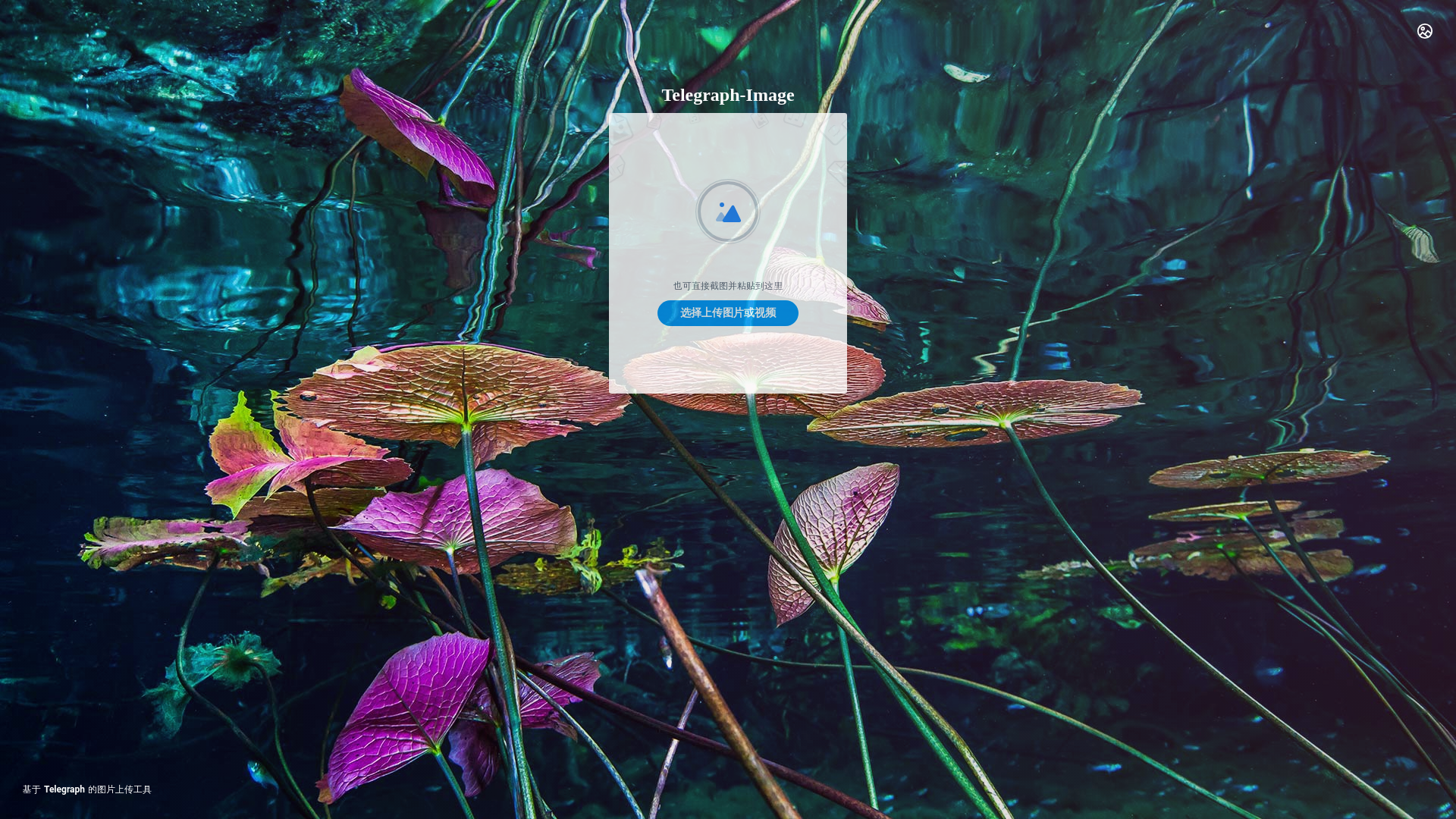 website screenshot of https://img-amm.pages.dev/