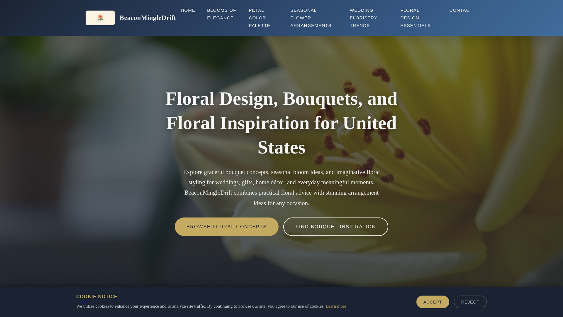 website screenshot of https://beaconmingledrift.top/