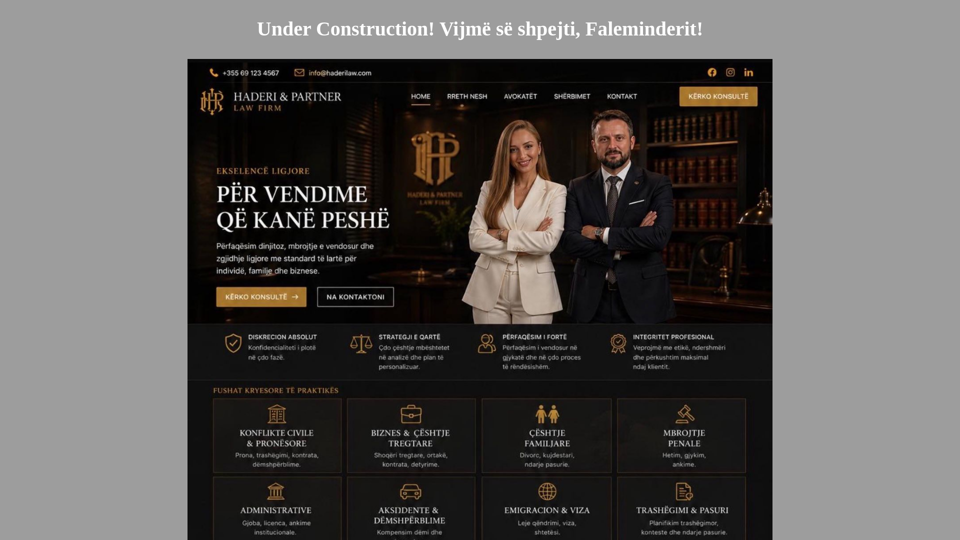 website screenshot of https://haderipartners.com/