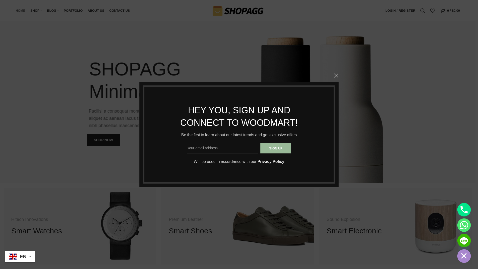 website screenshot of https://sdfassffco.com/