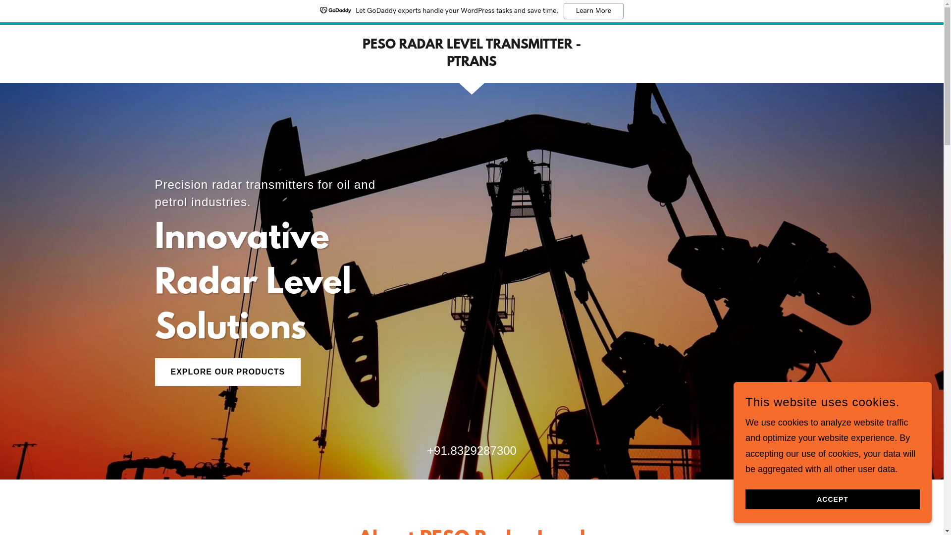 website screenshot of https://pesoradarlevel.com/
