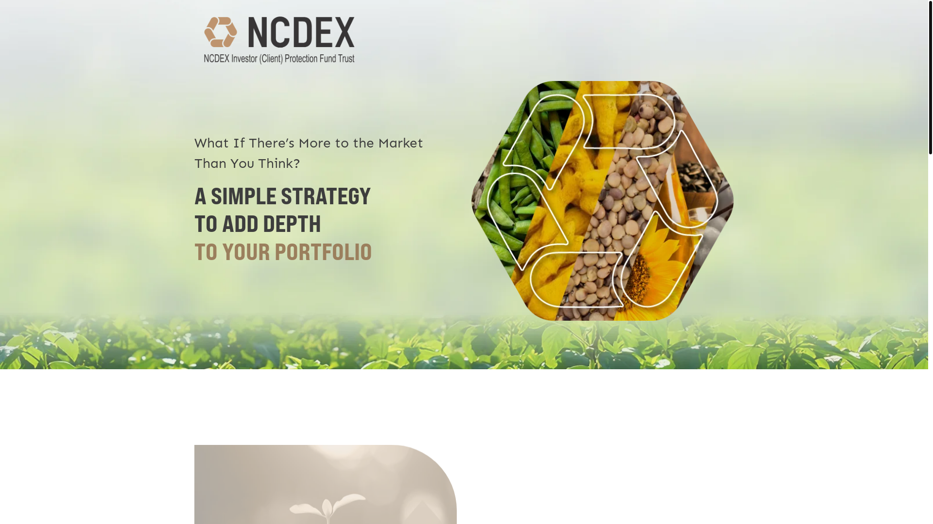 website screenshot of https://ncdexgaurspices.com/