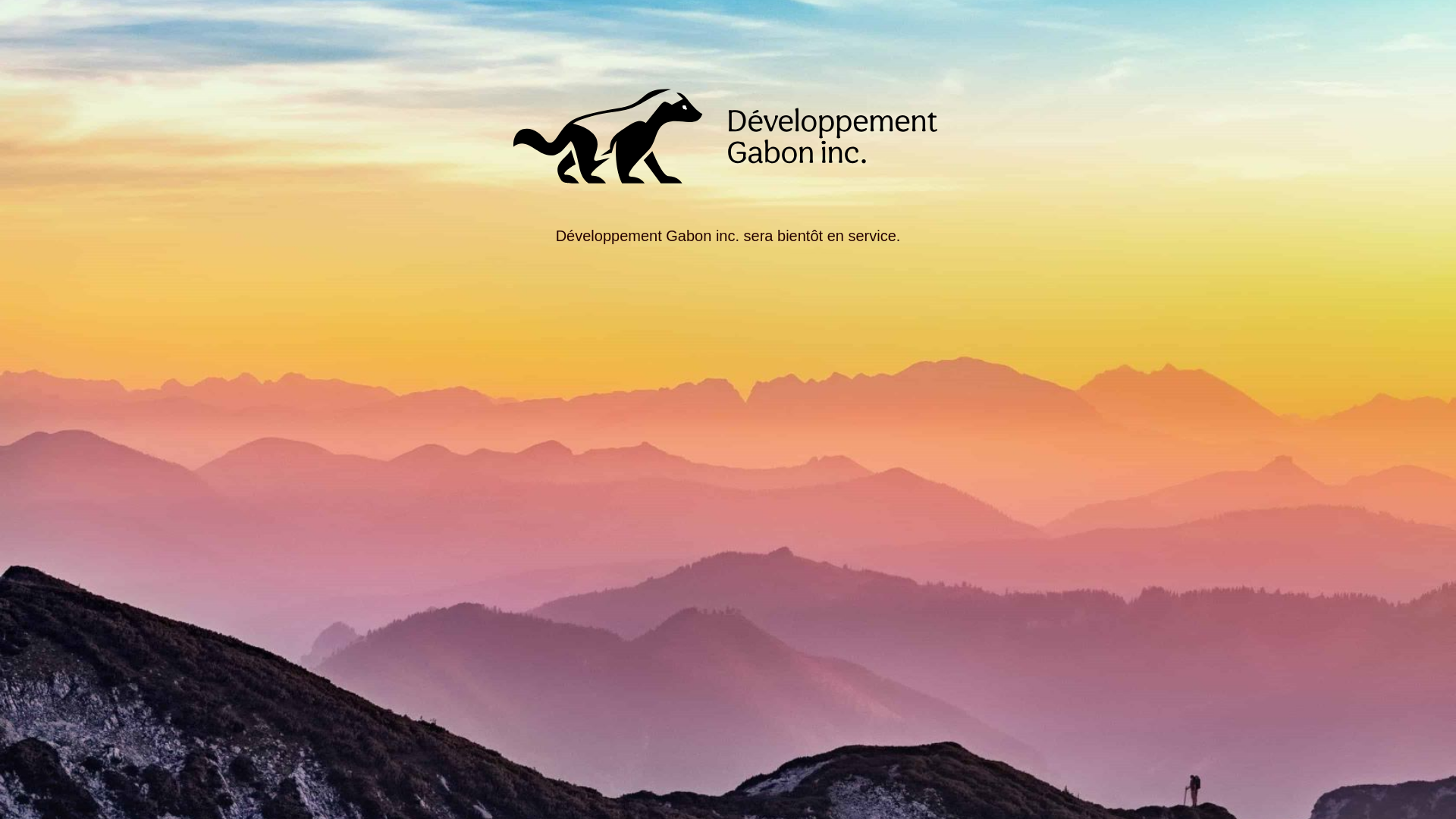 website screenshot of https://devgabon.ca/