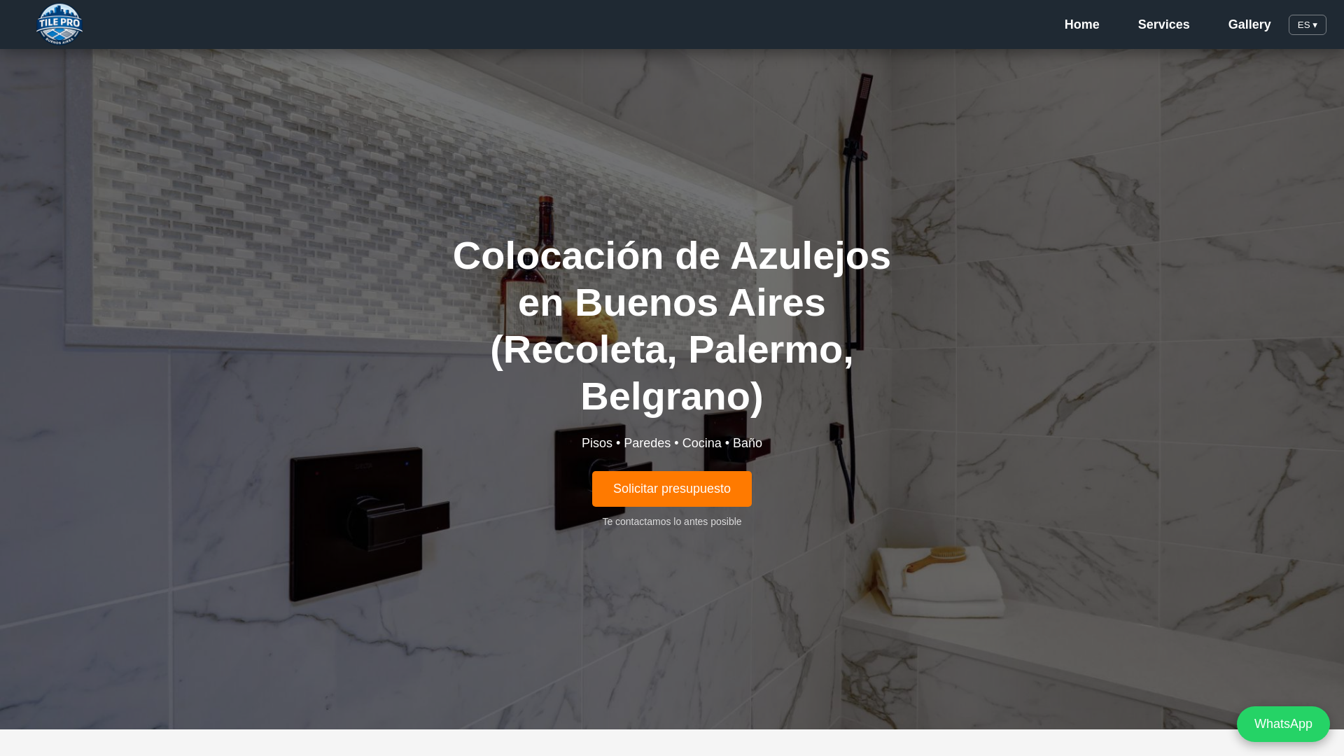 website screenshot of https://tileproba.com/